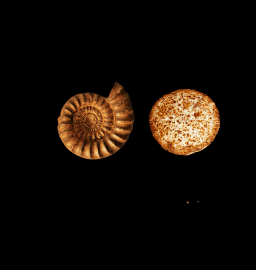 Spinners!