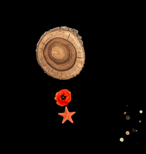 Spinners!