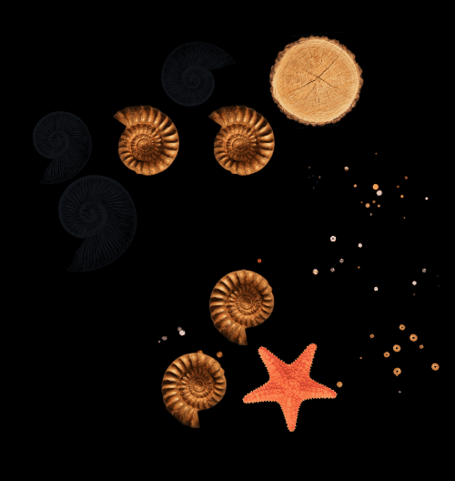 Spinners!