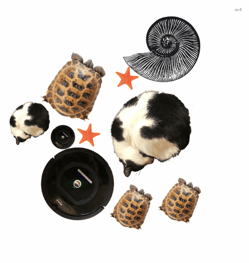 Spinners!