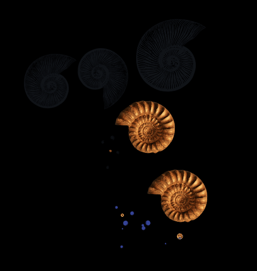 Spinners!