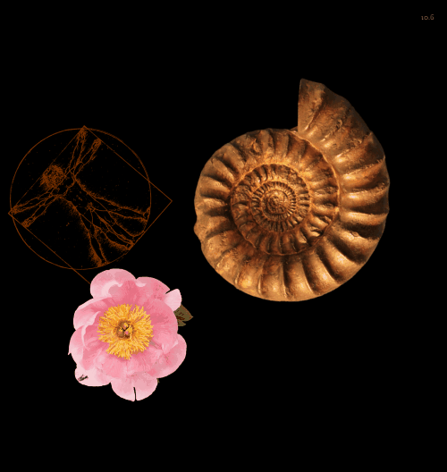 Spinners!