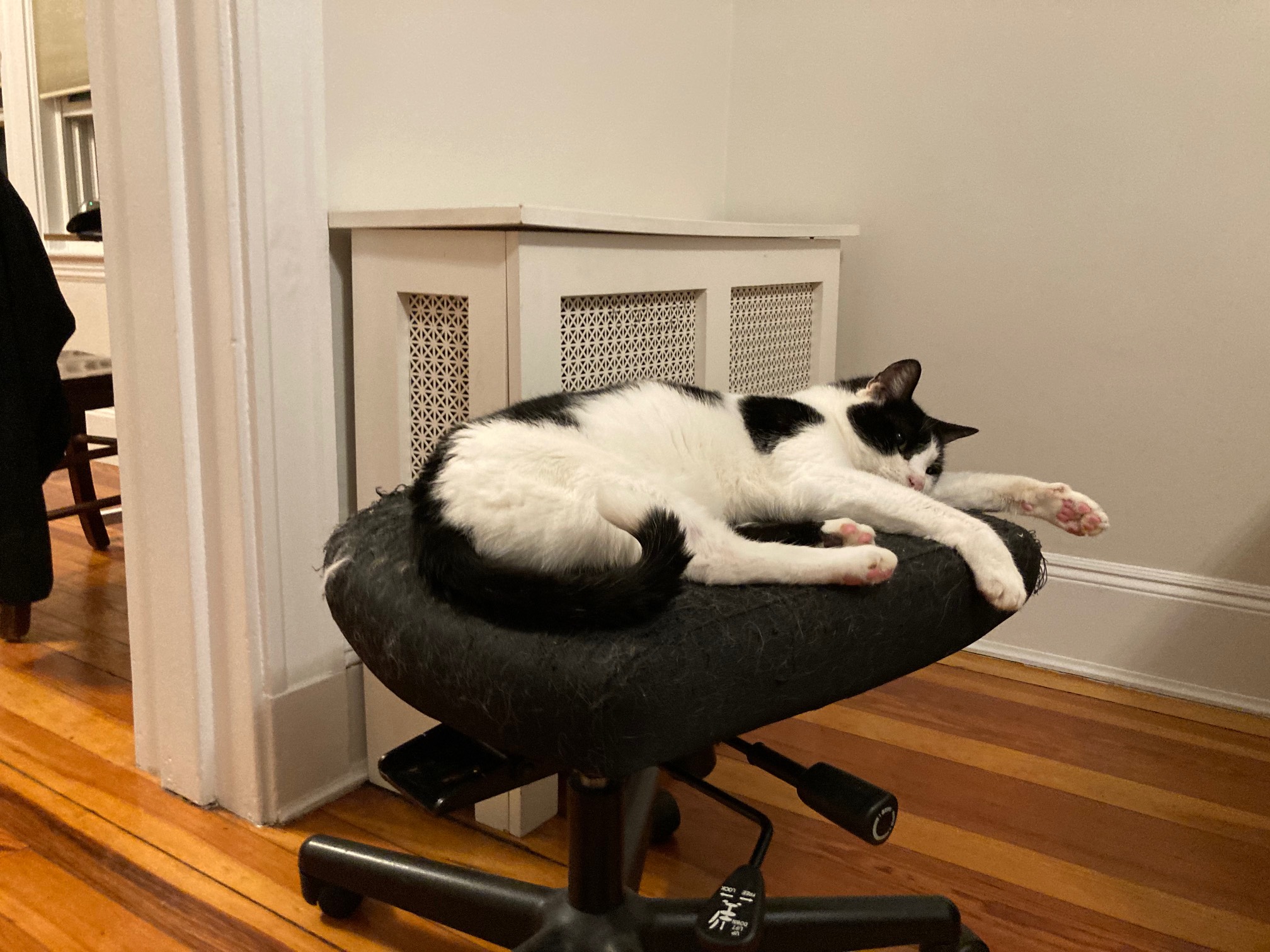 Maintain the curl