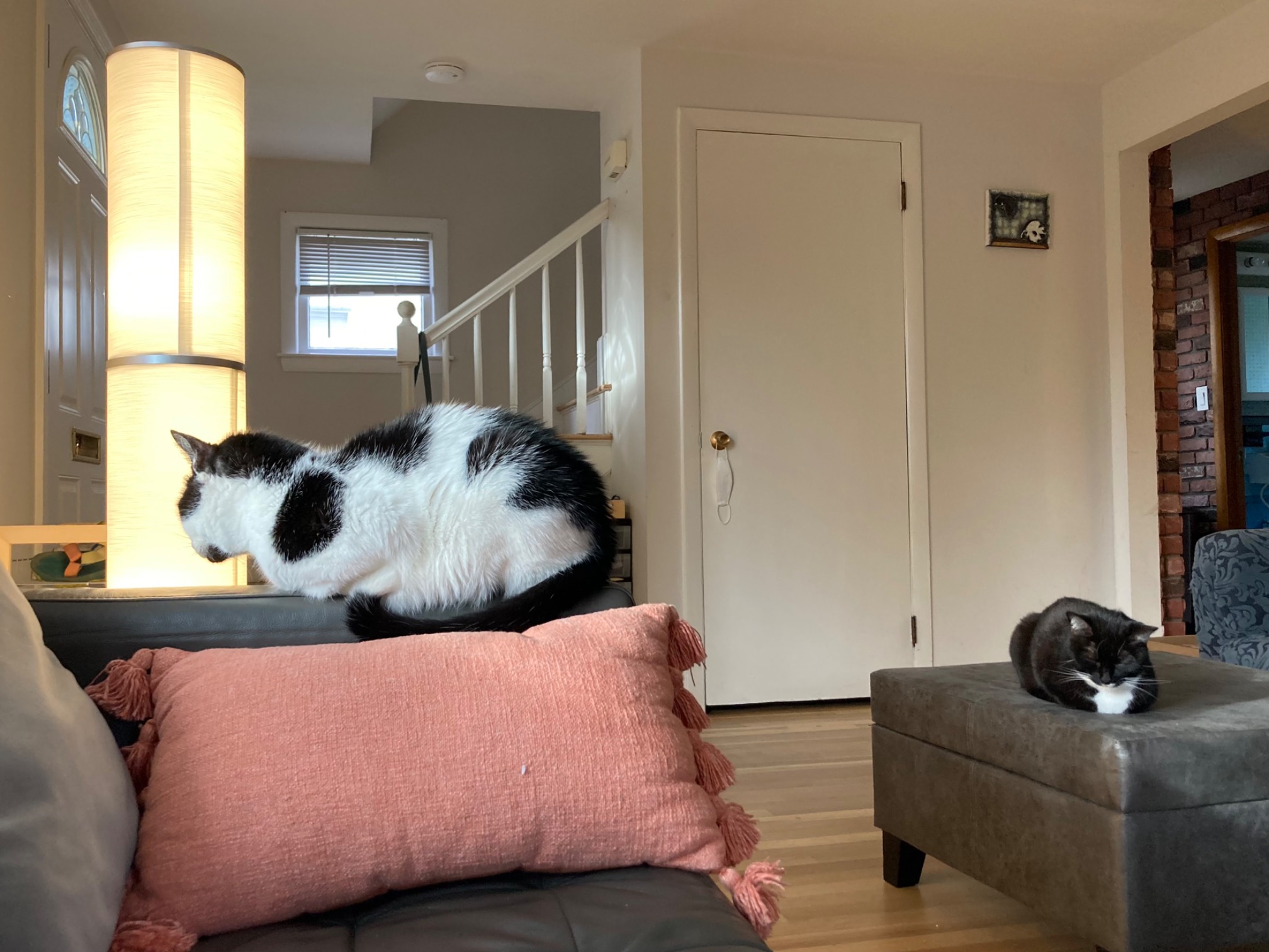 Perpendicular loafing