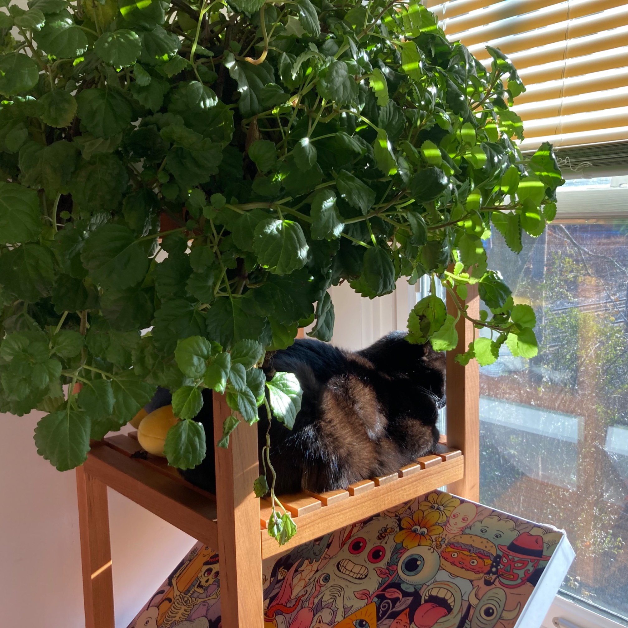 Substitute tree