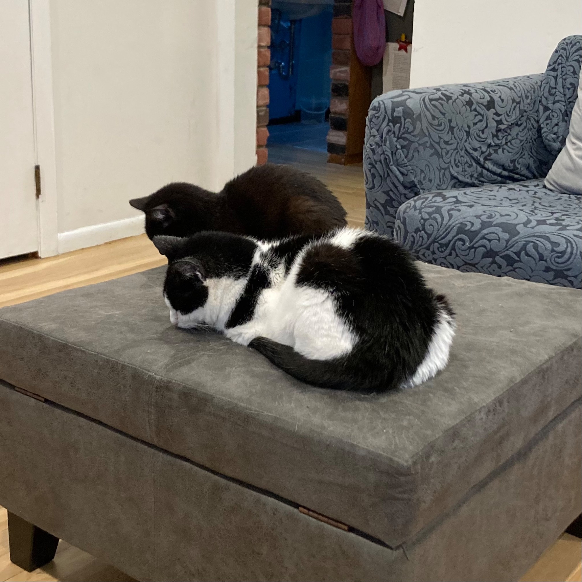 Post-breakfast shutdown