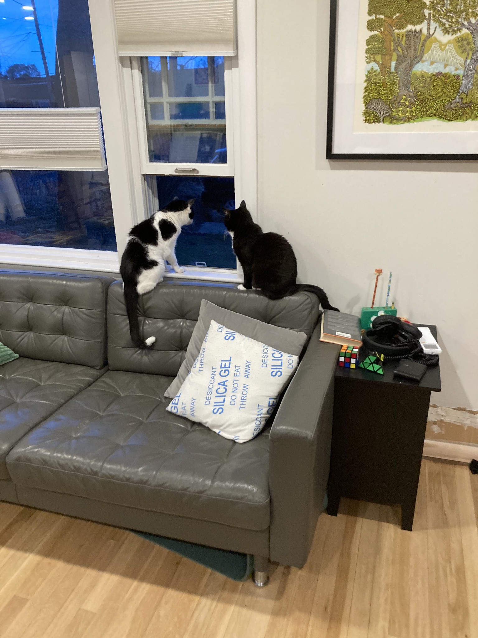 Two cats looking out a small window at dusk