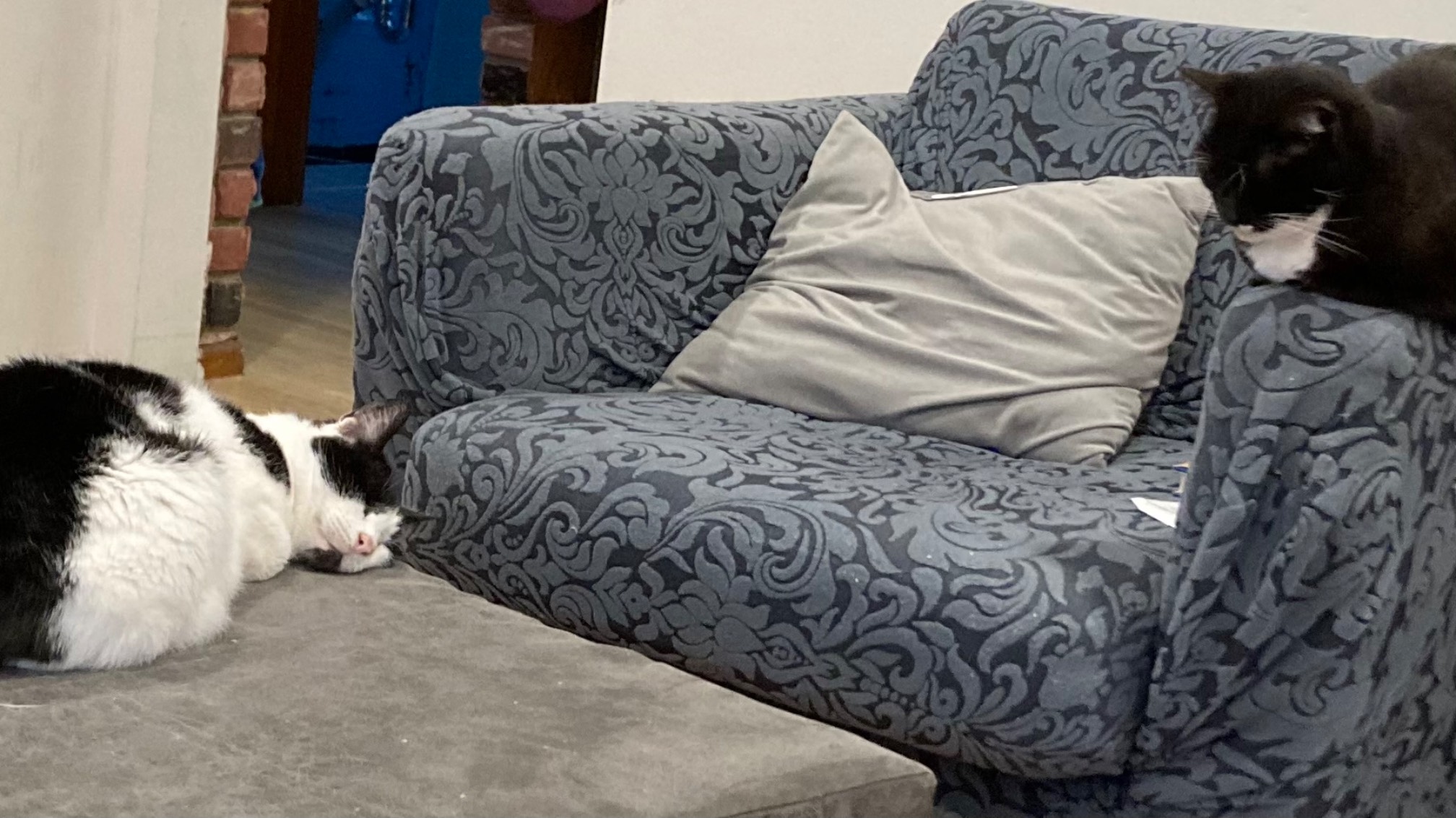 Crashed out