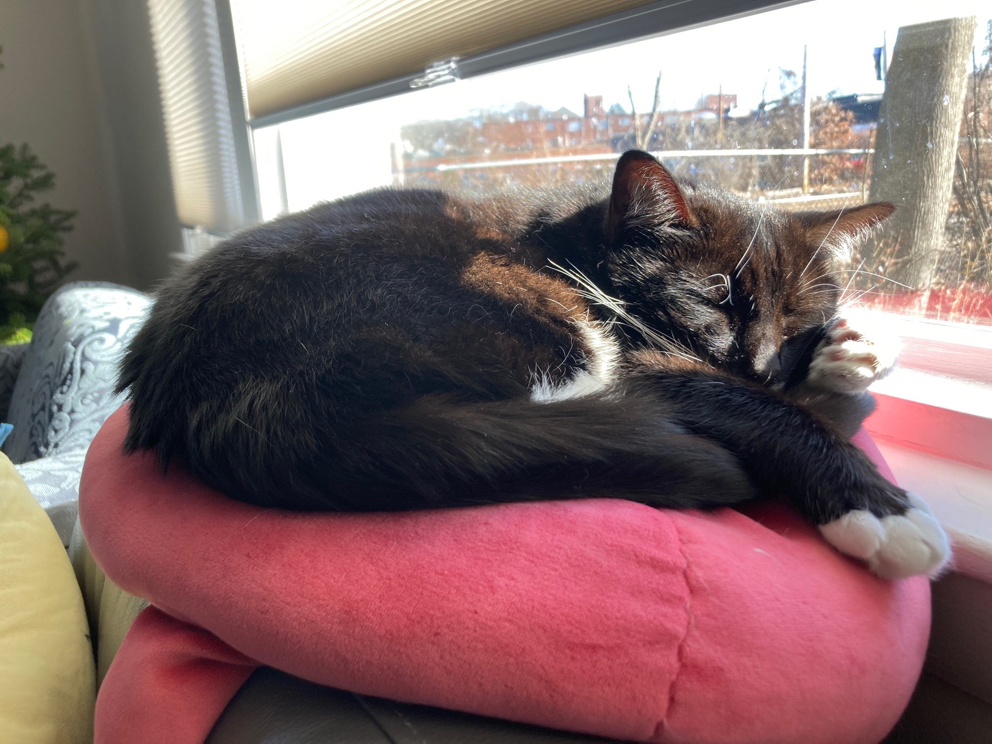 When you want sun, just not in your eye.