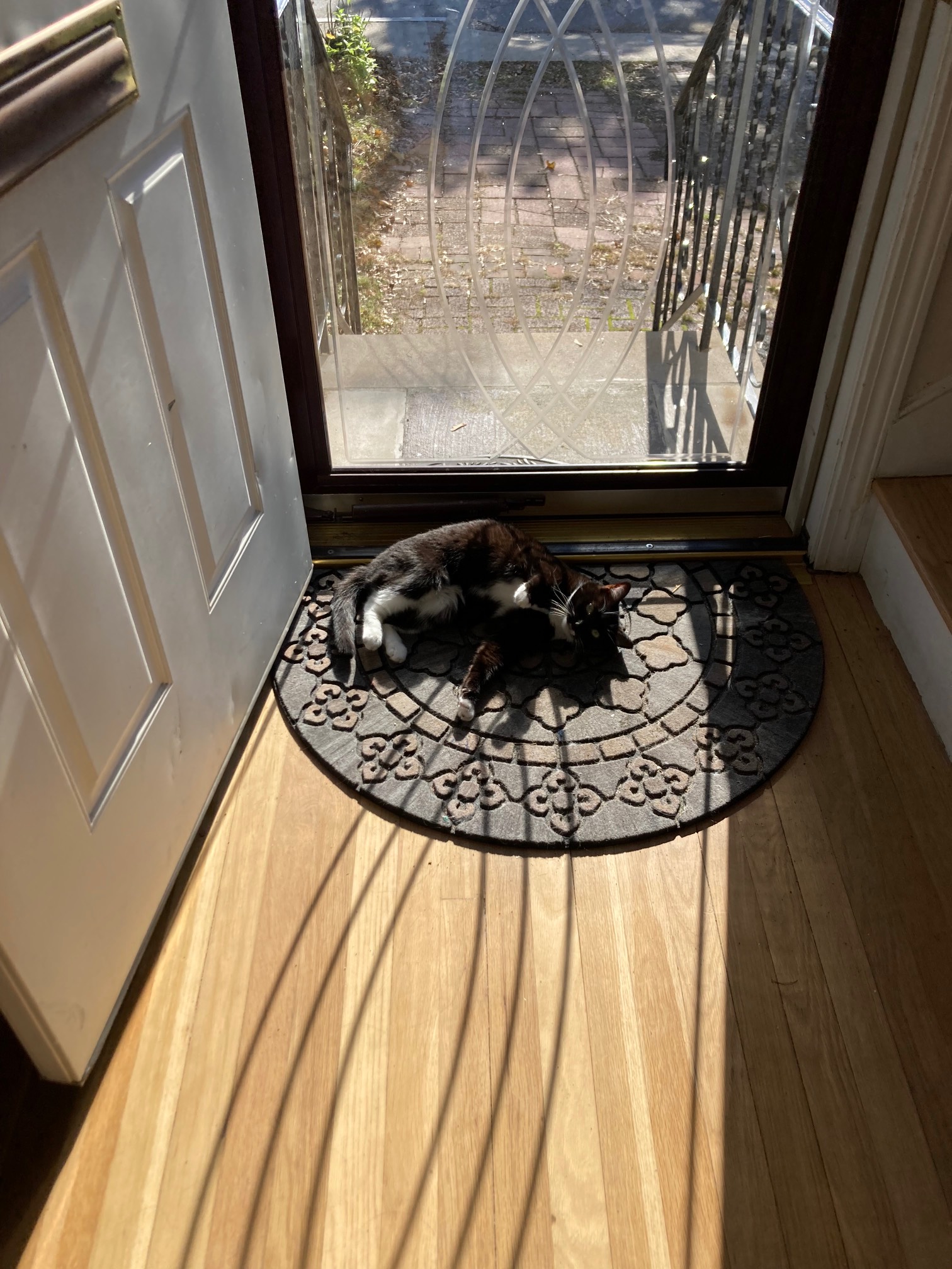 Full sun absorb mode