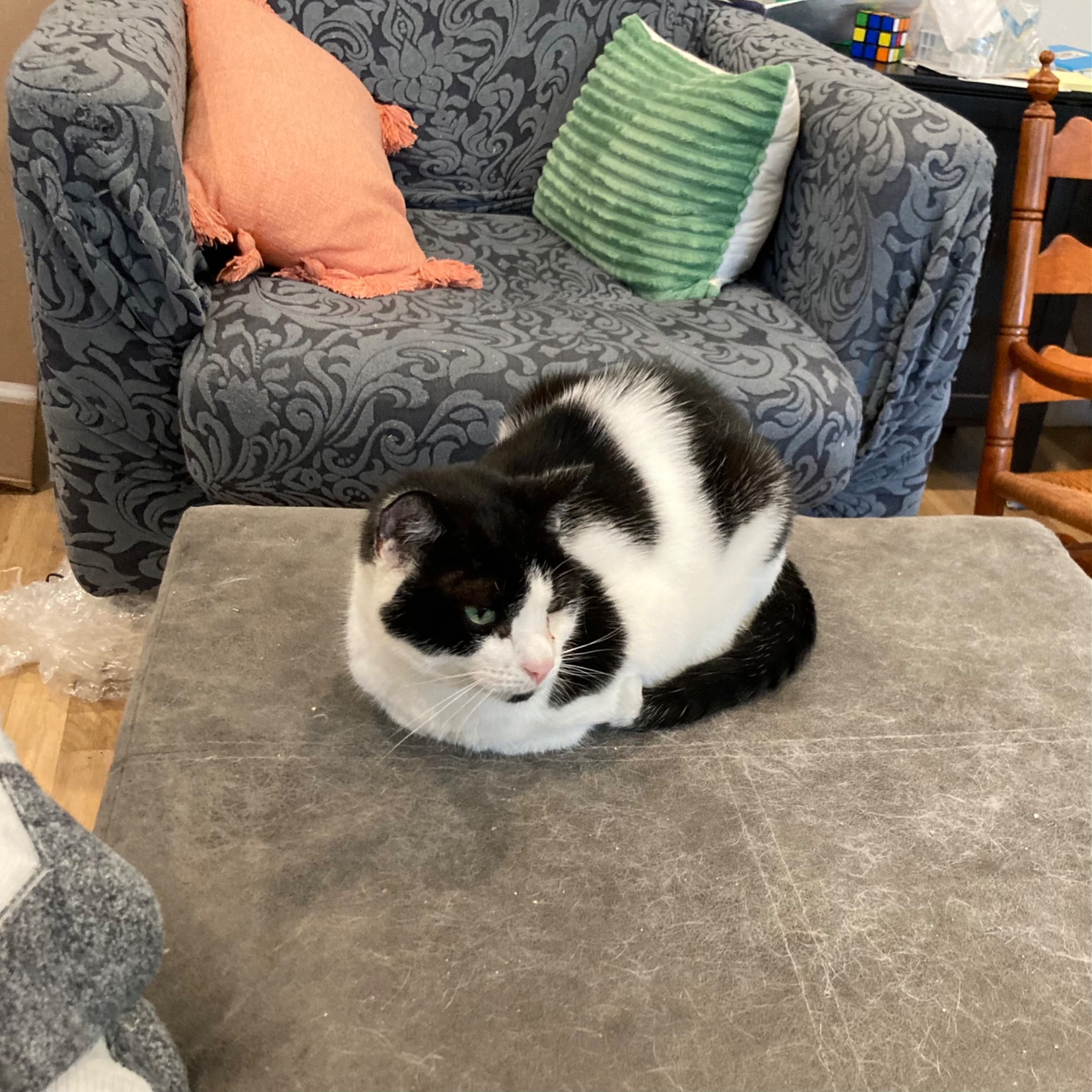 Relaxed but alert