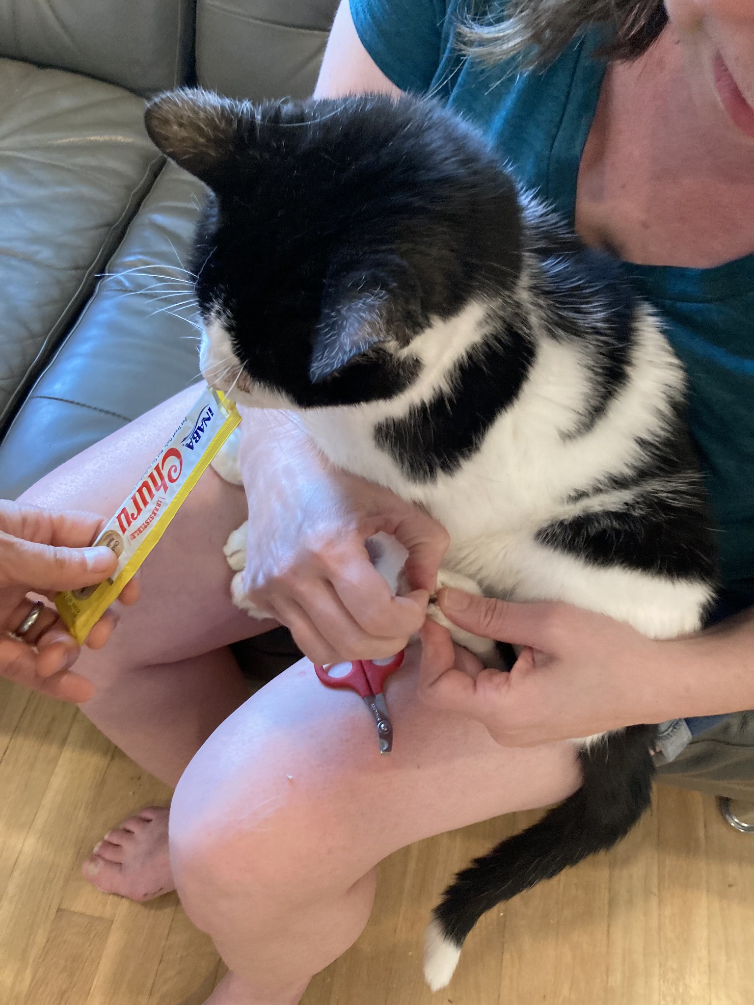 Cat eating goo from a tube while his nails are cut