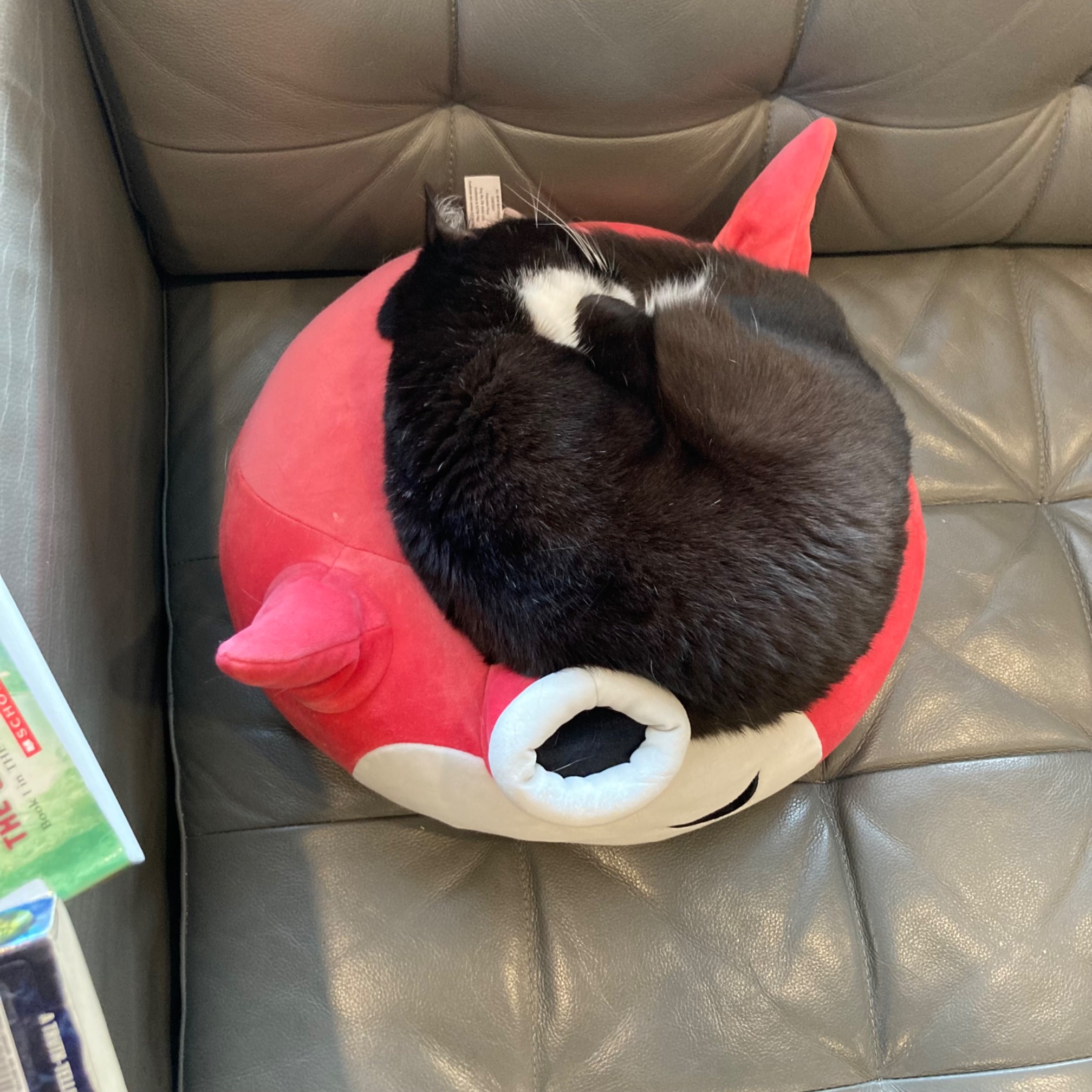 Plenty of roundness.