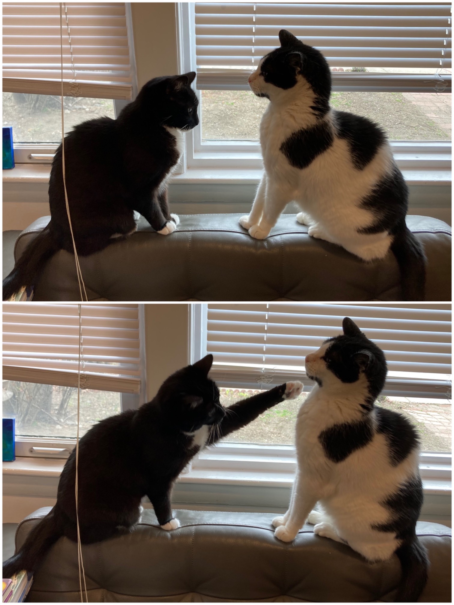 Wily is still sometimes a jerk.