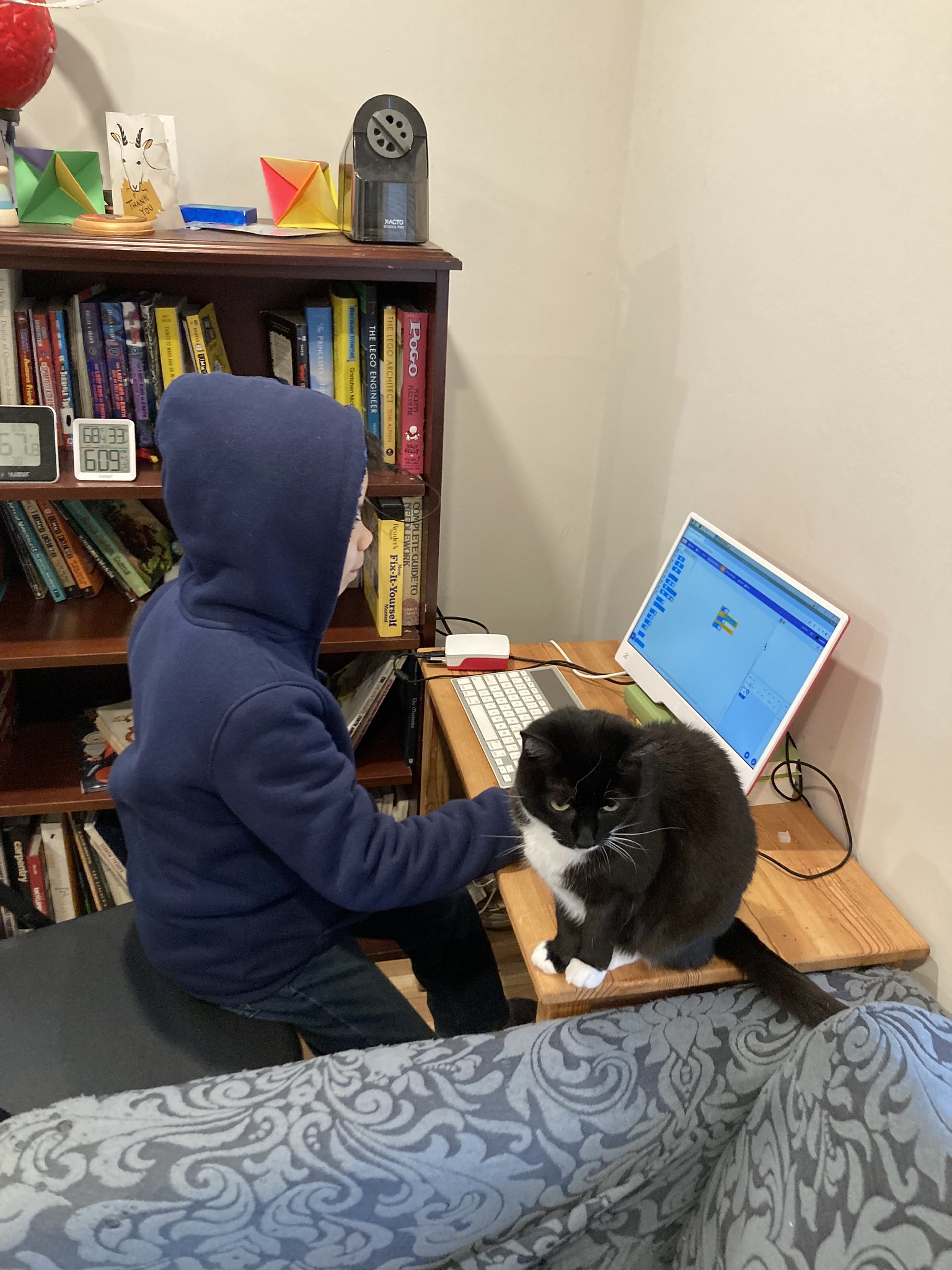 Cat on desk where kid is working on computer