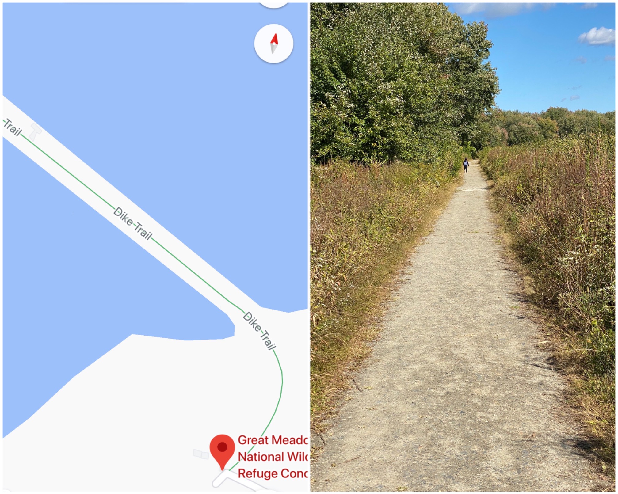 We went to the Great Meadows Wildlife Refuge today. Based on the default map view, I imagined that t