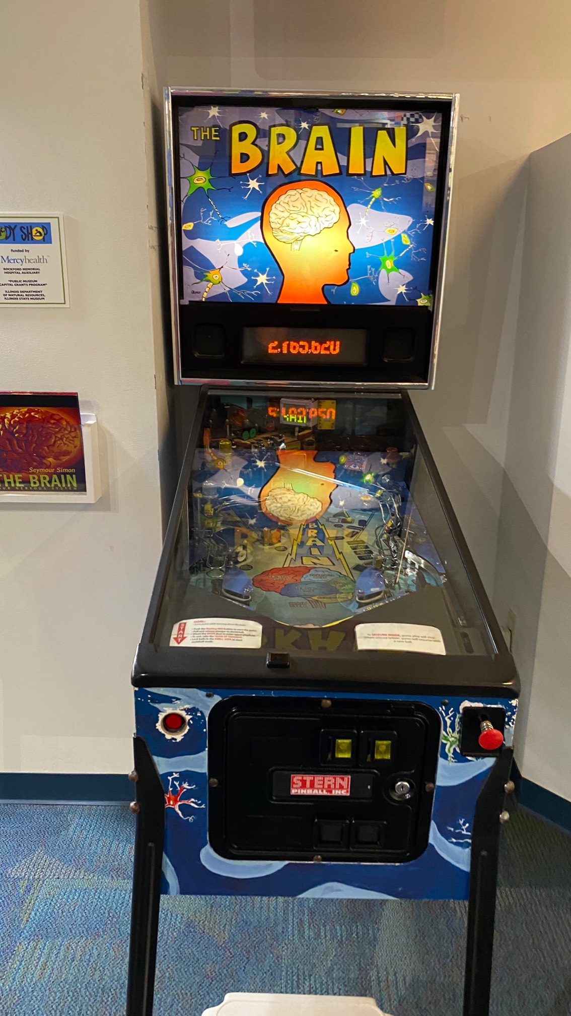 The Brain at this children’s museum is the only pinball machine I’ve actually gotten into. Free play