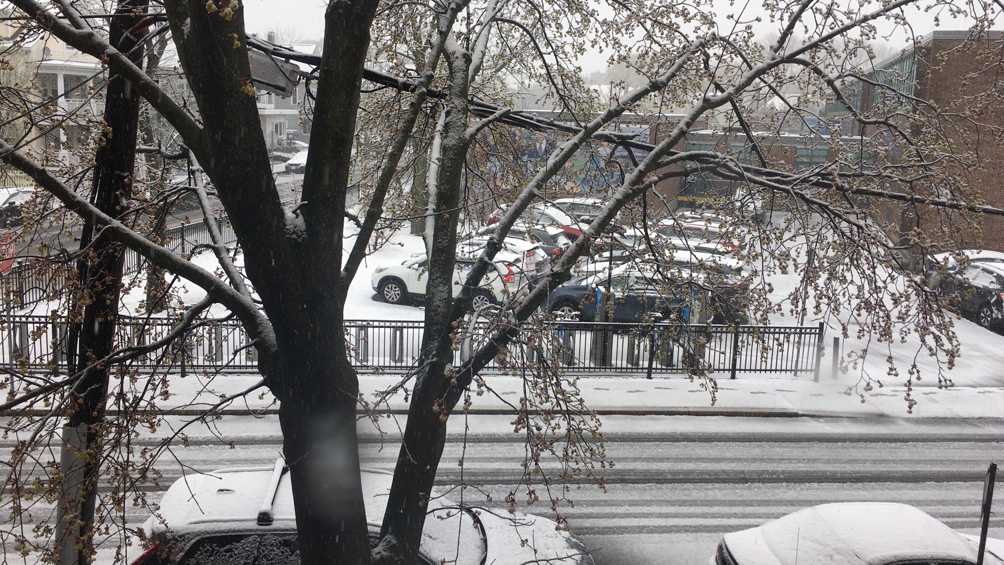 Well, there it is. It’s snowing.