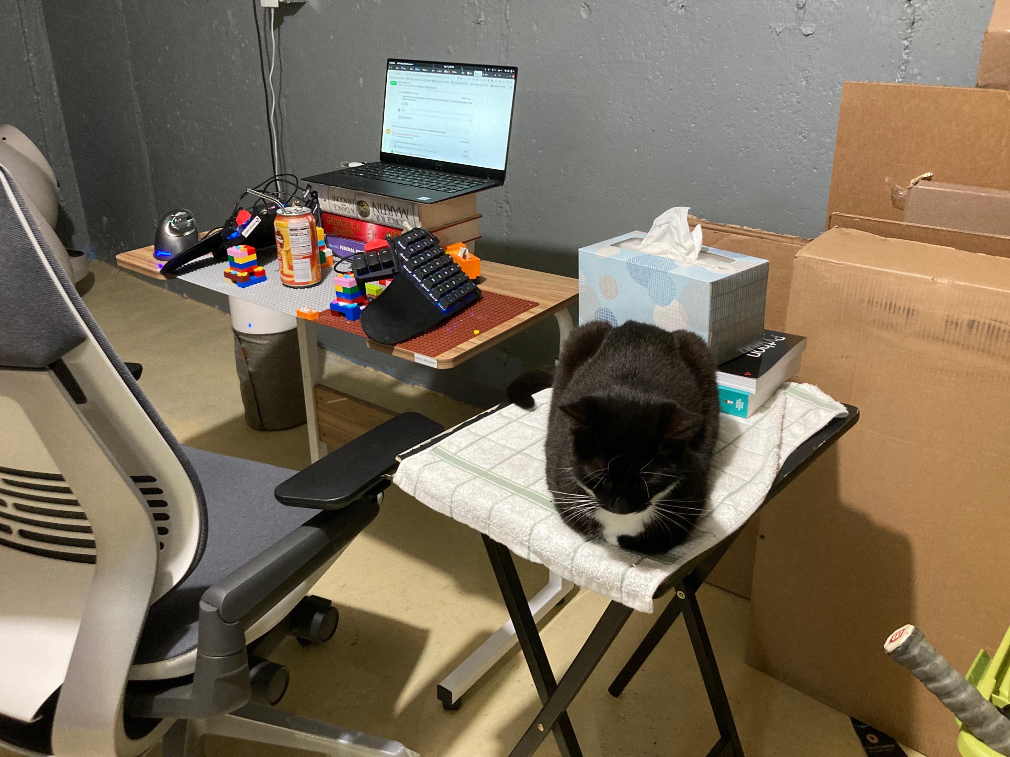 This Wily Loaf Zone prevents Wily Interference at the office.