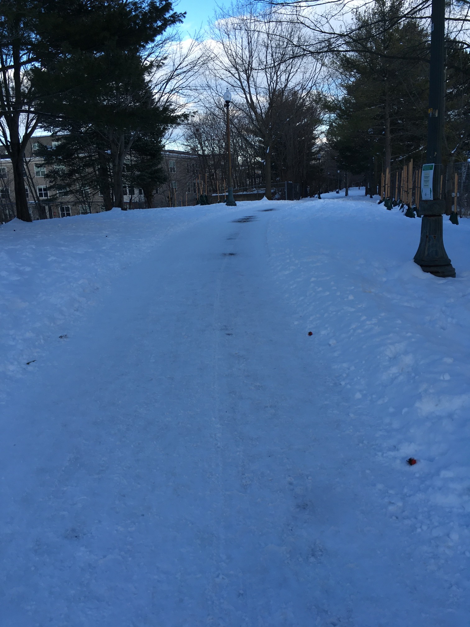 I went on what I think was a 20-minute run. (My phone died because it was too cold.) I thought the b