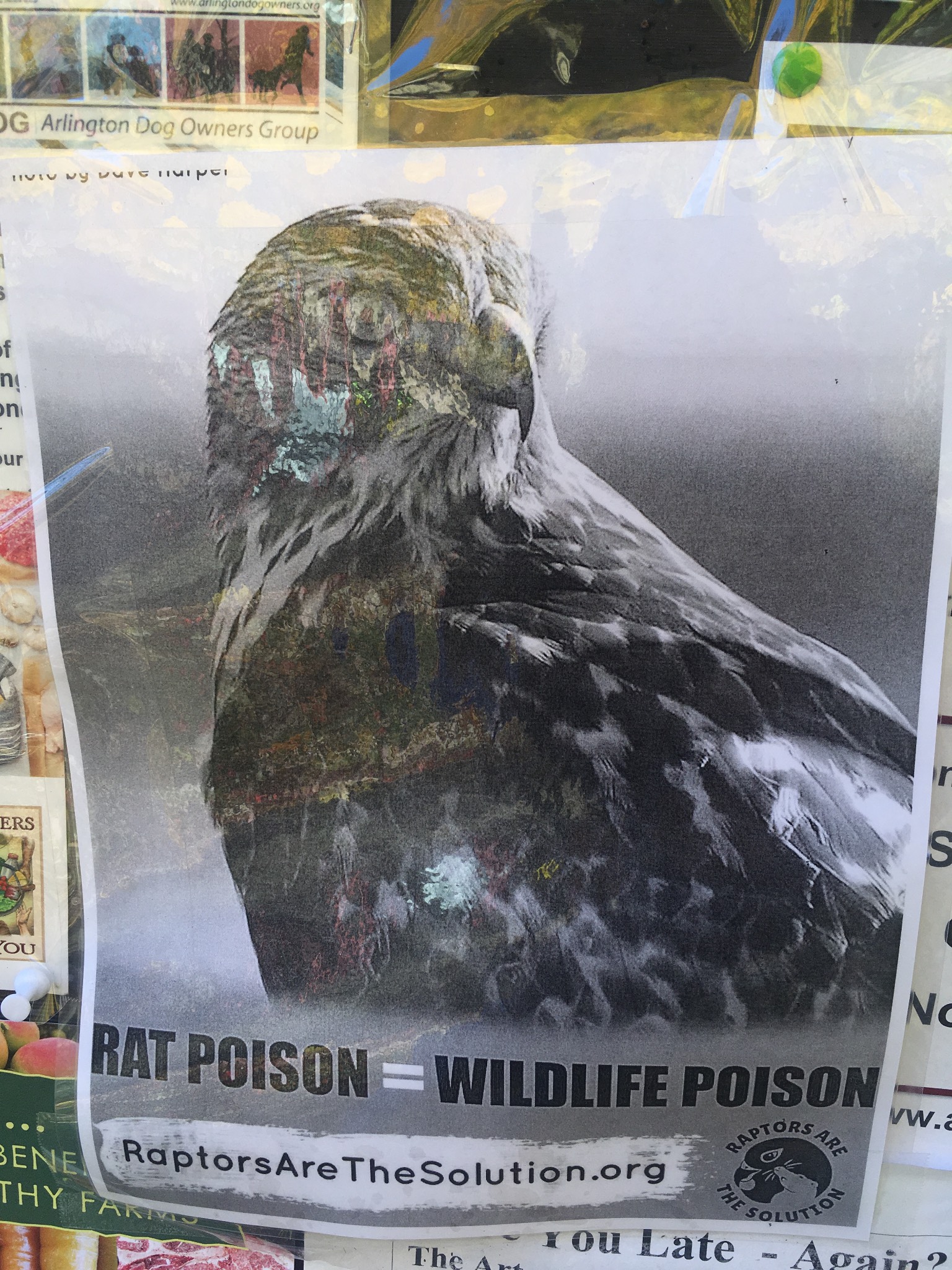 Have you considered raptors for your problems?