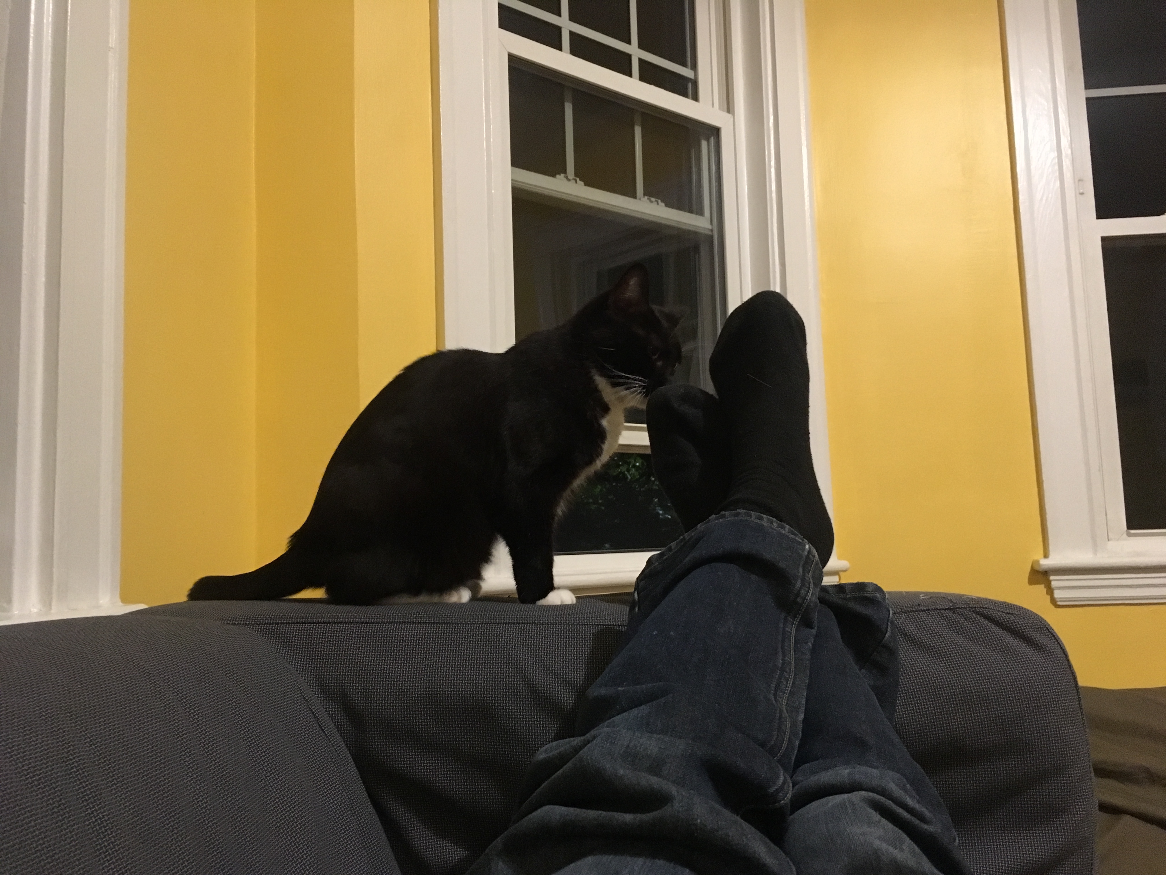 I'm guessing my feet don't smell great right now.