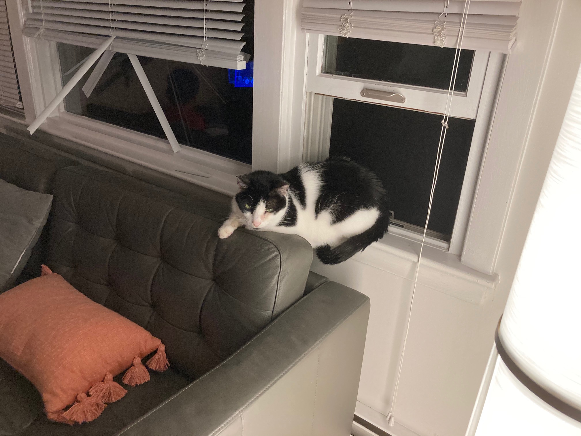 Bridge loaf