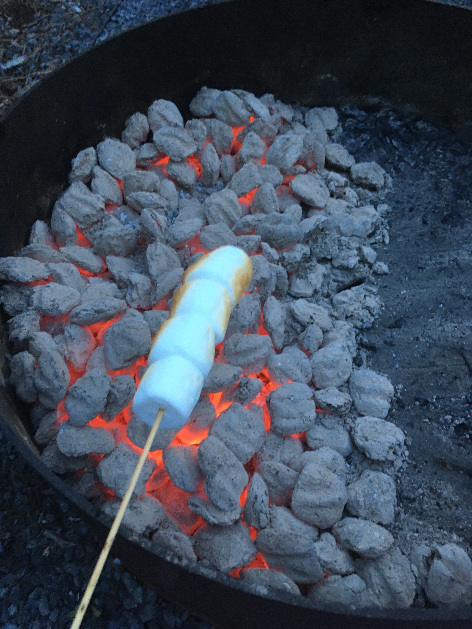 Stupid charcoal peaked late, so I’m making the best of it.