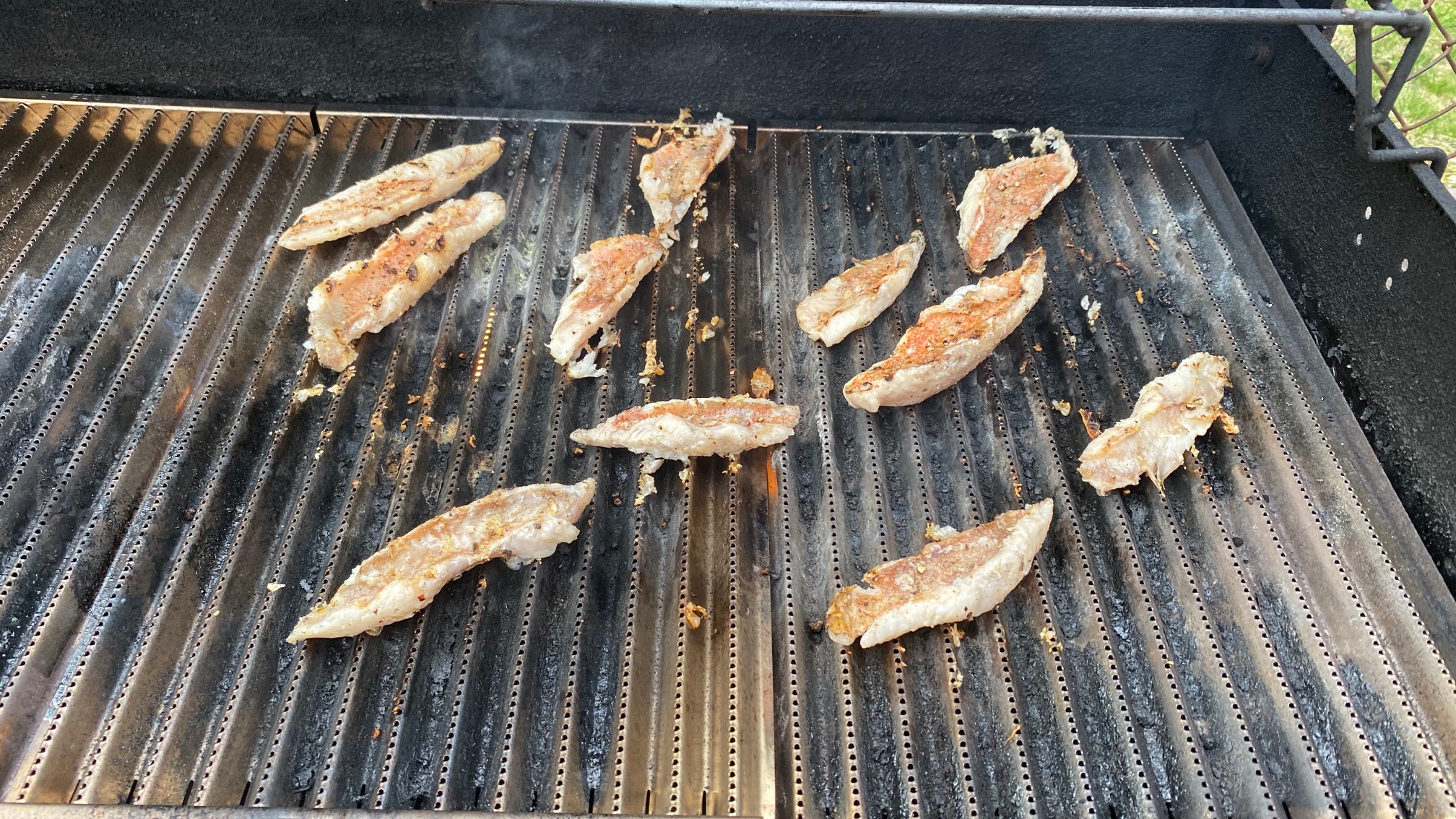 Really hoping these bits of snapper can be removed from the grill.