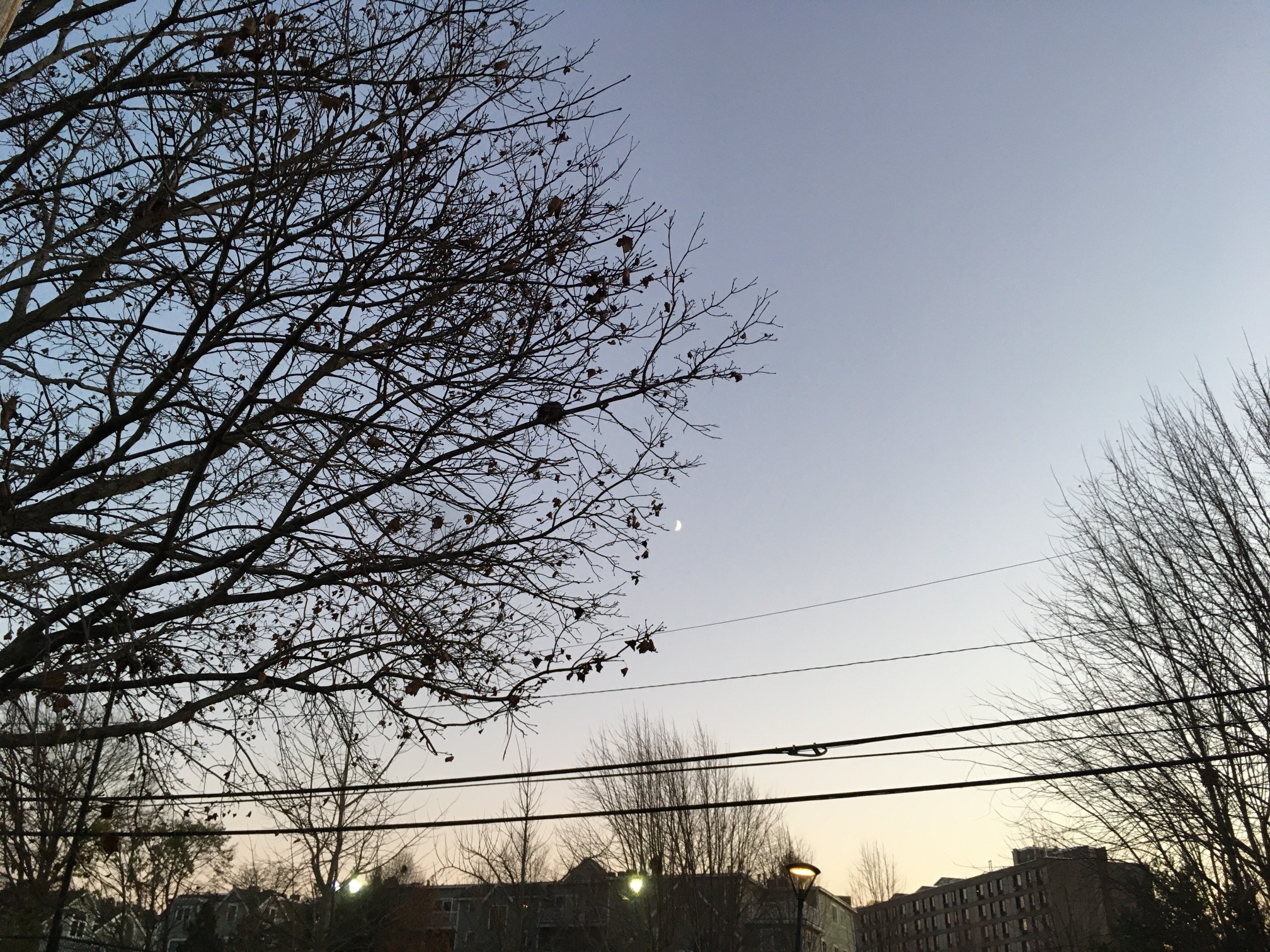 20 burpees, 12 pull-ups, 5-3-1 deadlifts. Really glad I went outside today. It’s nice out.