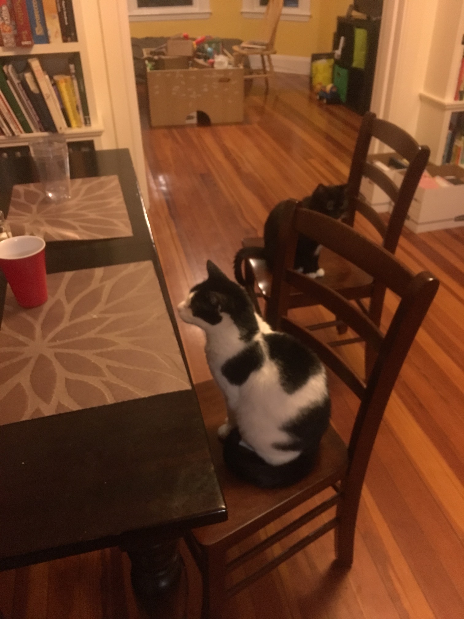 We had Chinese takeout.