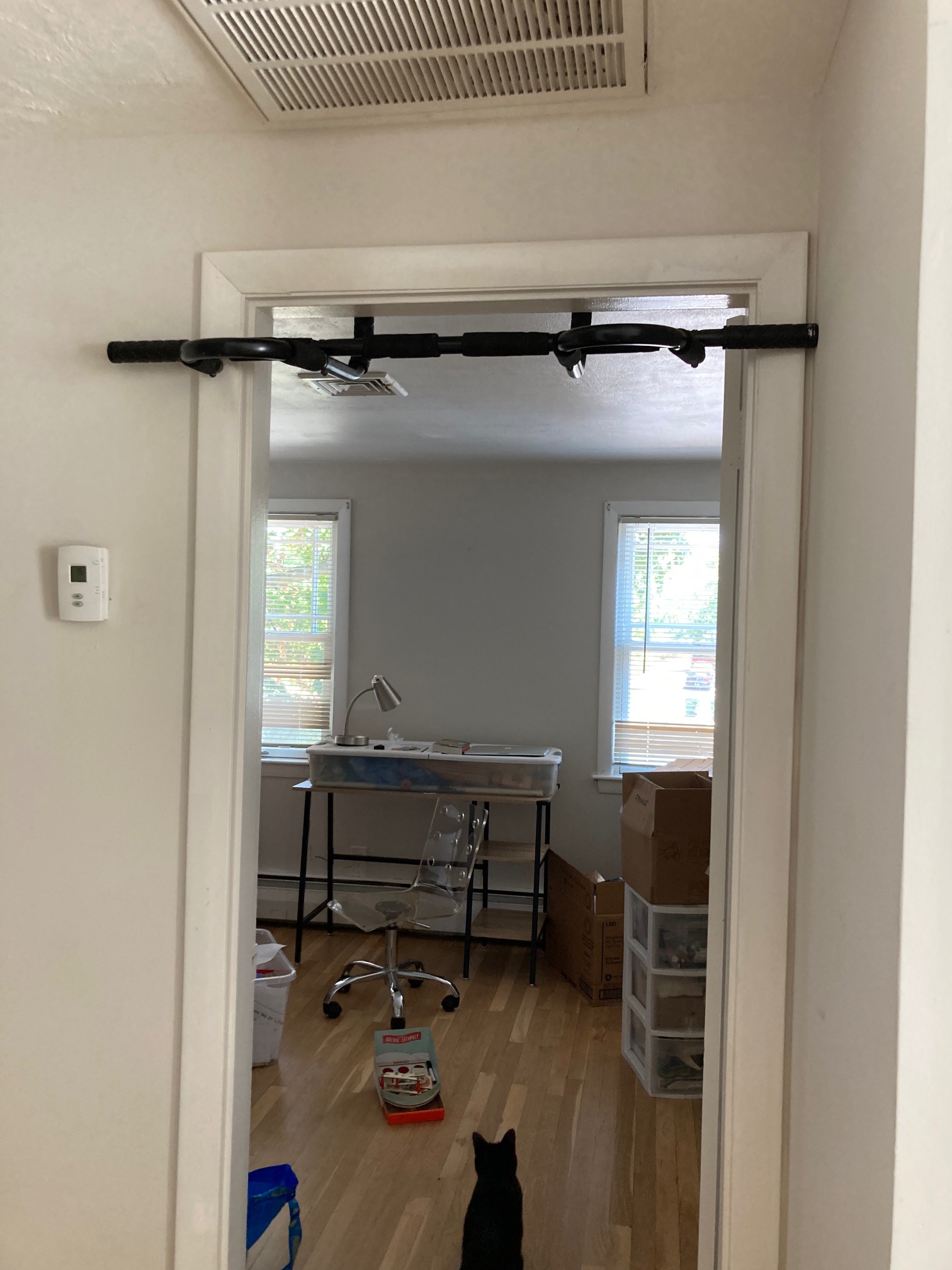 Ten burpees, 14 pull-ups. I was going to do more burpees, but I started feeling it in the IT band, a