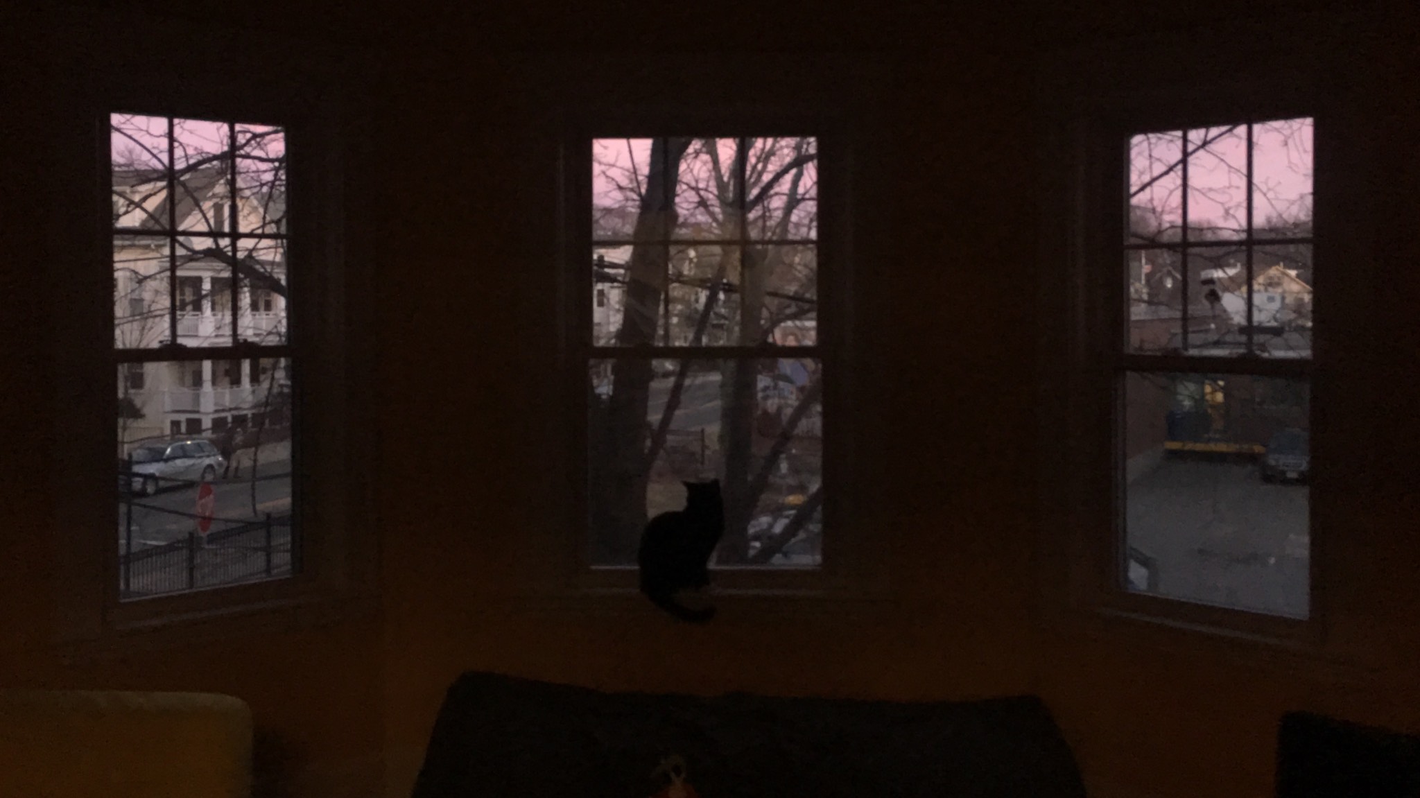 Sunset windows