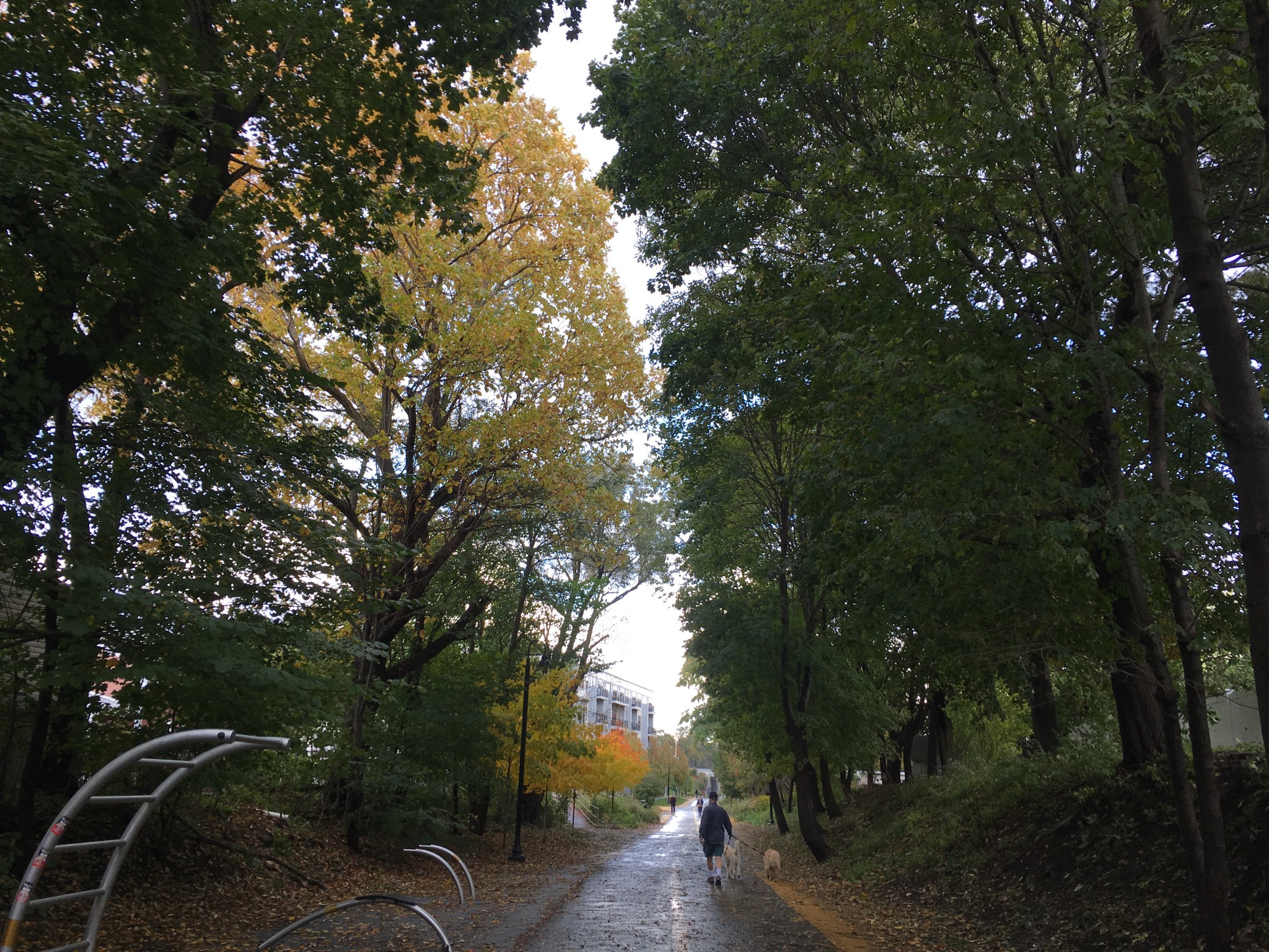 7-8-4-4-3-3. Made the run short because I was hesitant about the path being wet at first.<br><br>I c