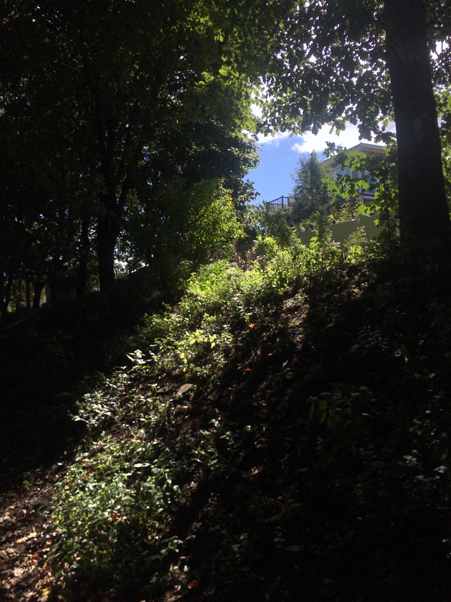 Really enjoying life today, in contrast to the last several, in which I was marshaling everything I 