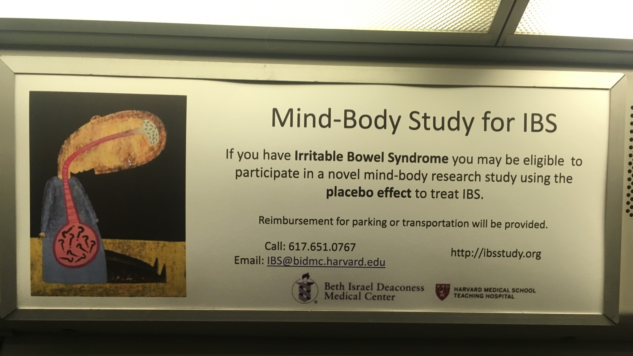 This IBS art is excellent!
