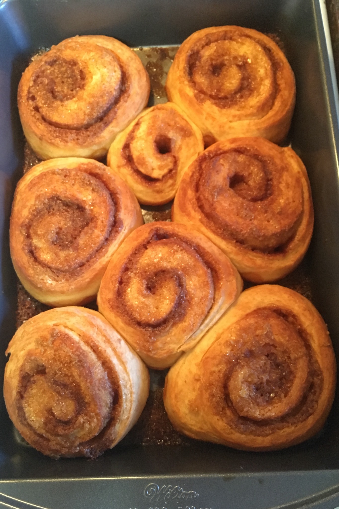 Abundant buns!
