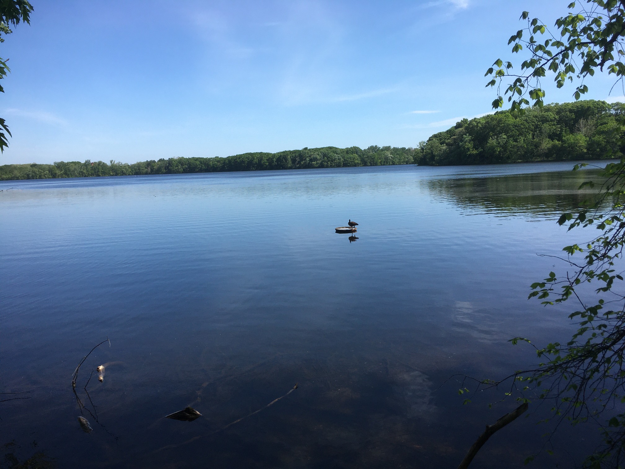 Five-mile run, 12 pull-ups. We saw a cool goose that had its own island.