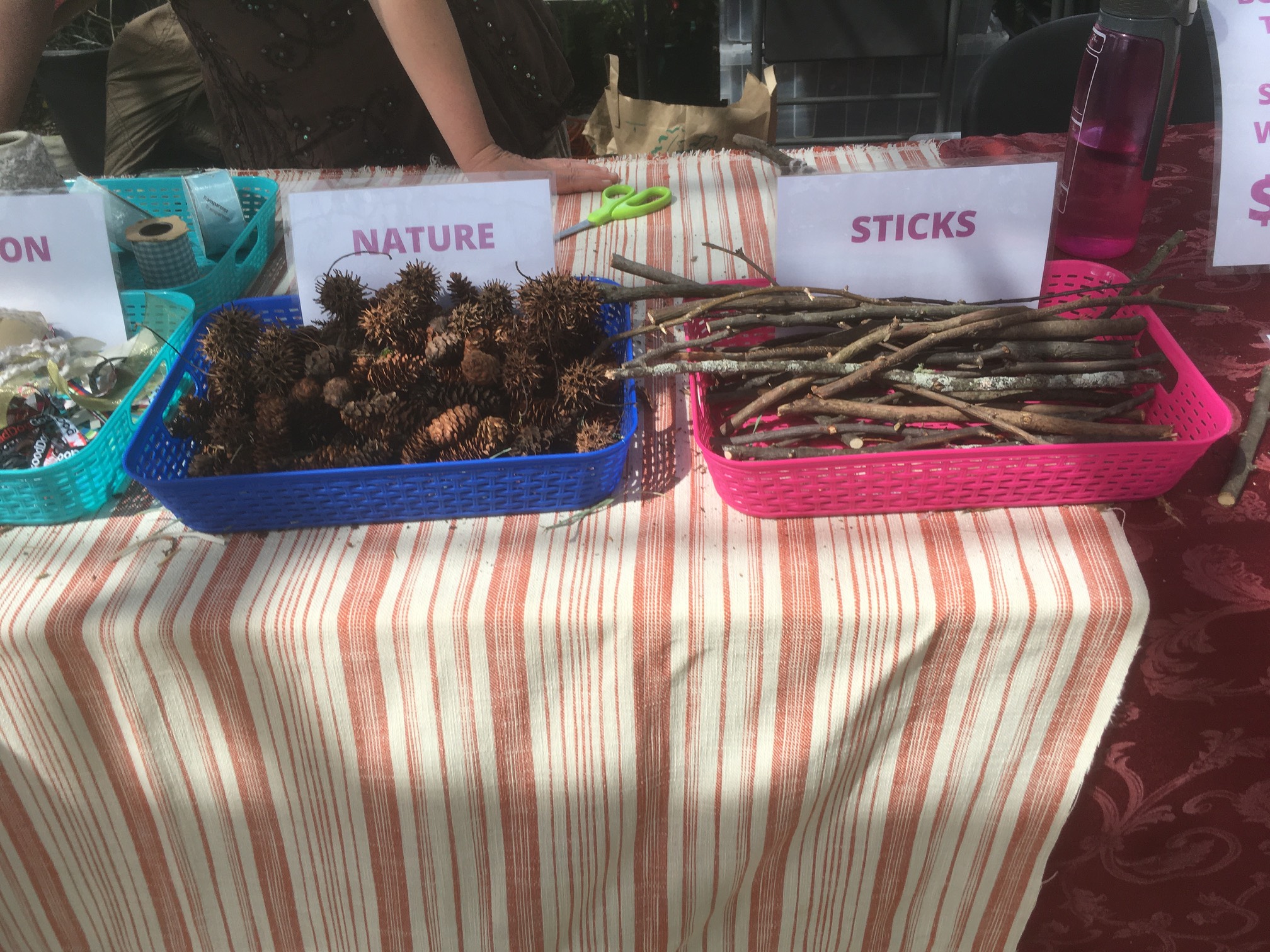 Nature, sticks