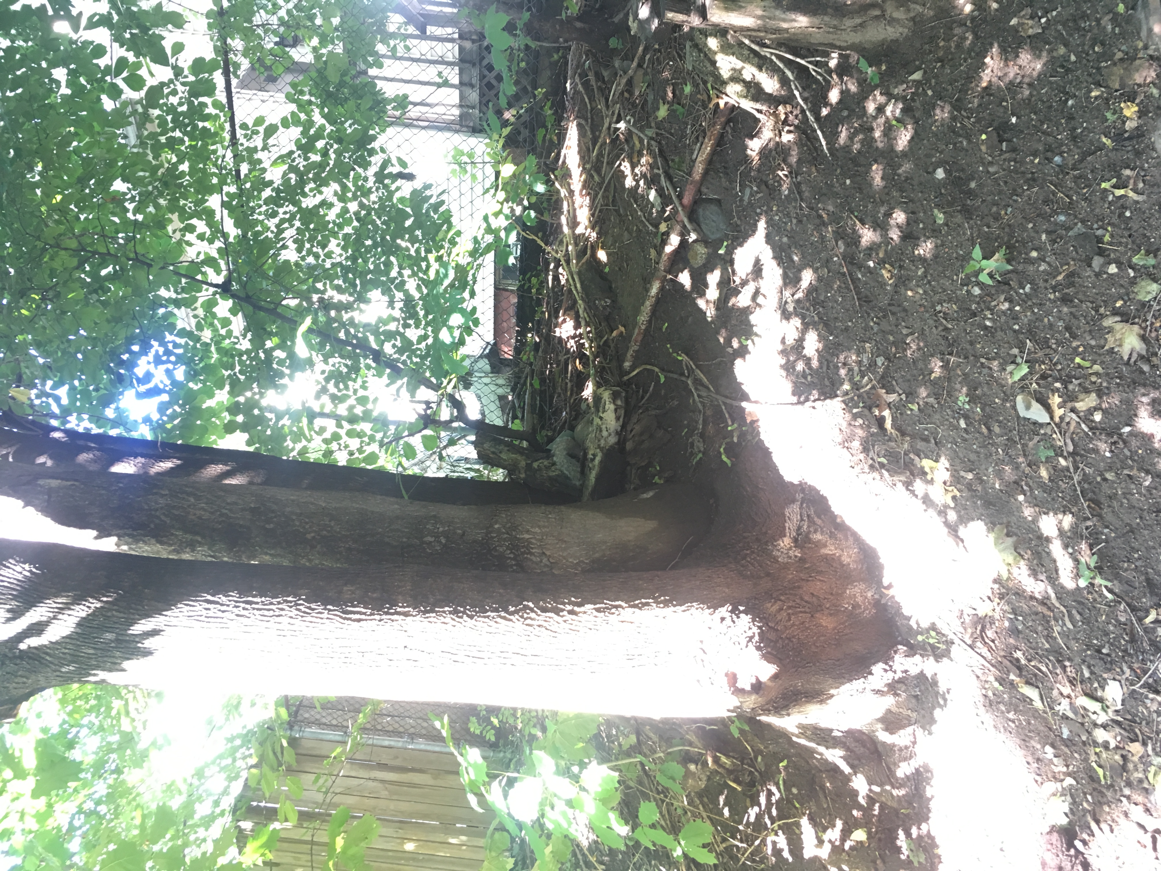 10-5-4-4. Out there, I saw a cool hidden squirrel.