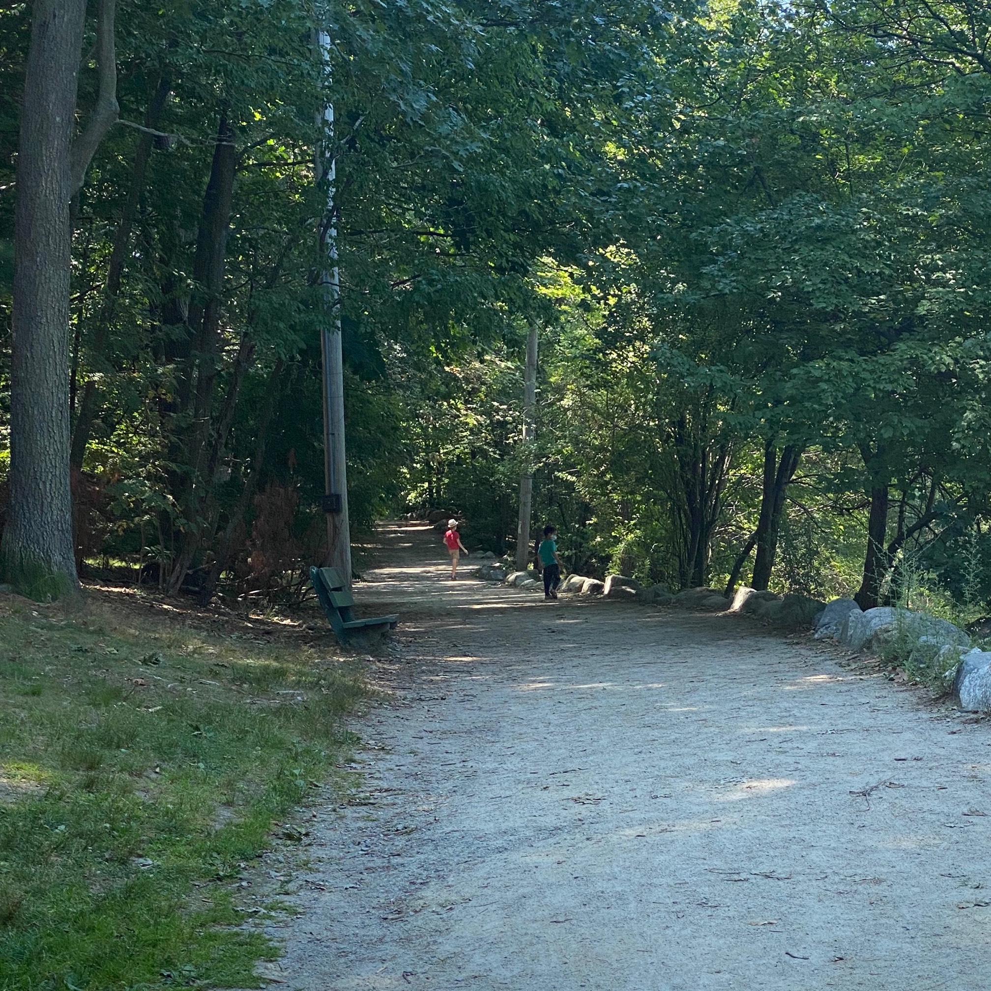 We went on a masked walk in Menotomy Rocks with a friend and his kid today. Thus, we:✓ Got t