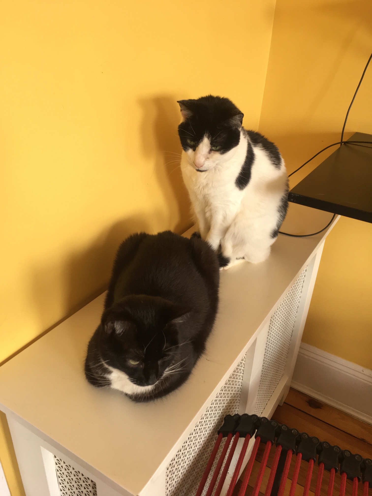 Willing someone to move
