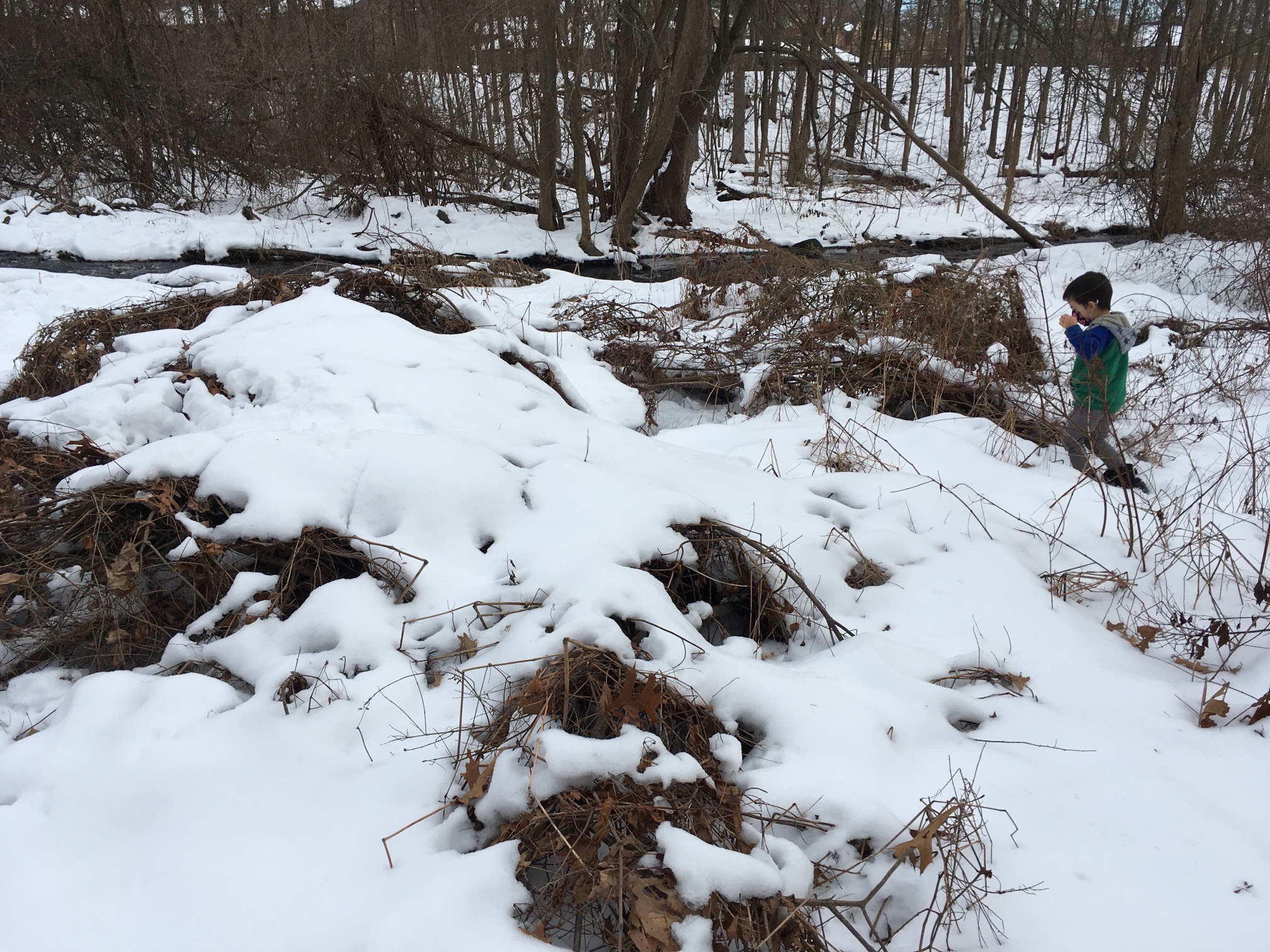 I don’t know what this terrain type is called, but I’m calling it snow thatch.