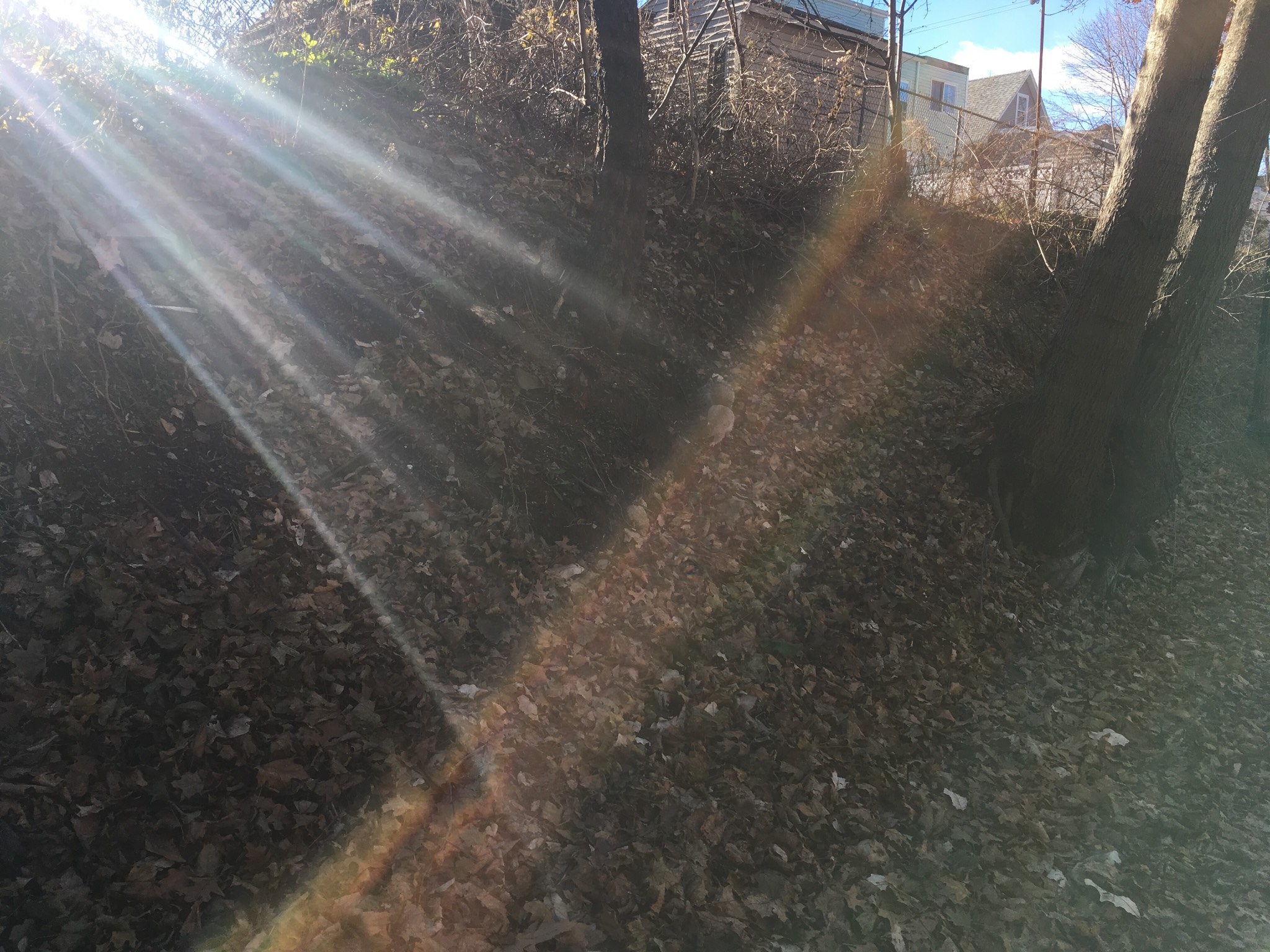 6-6-6-2-2-4. It's cold, but refreshing out. Careful out there, though — the sunbeams are very aggres