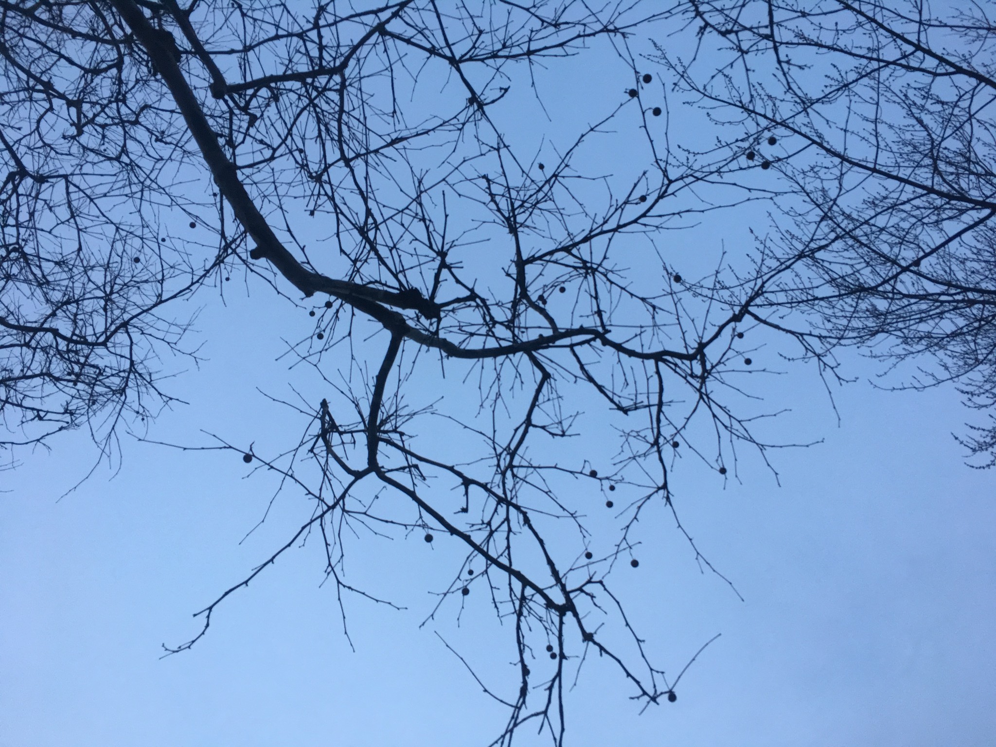 Sticks and balls