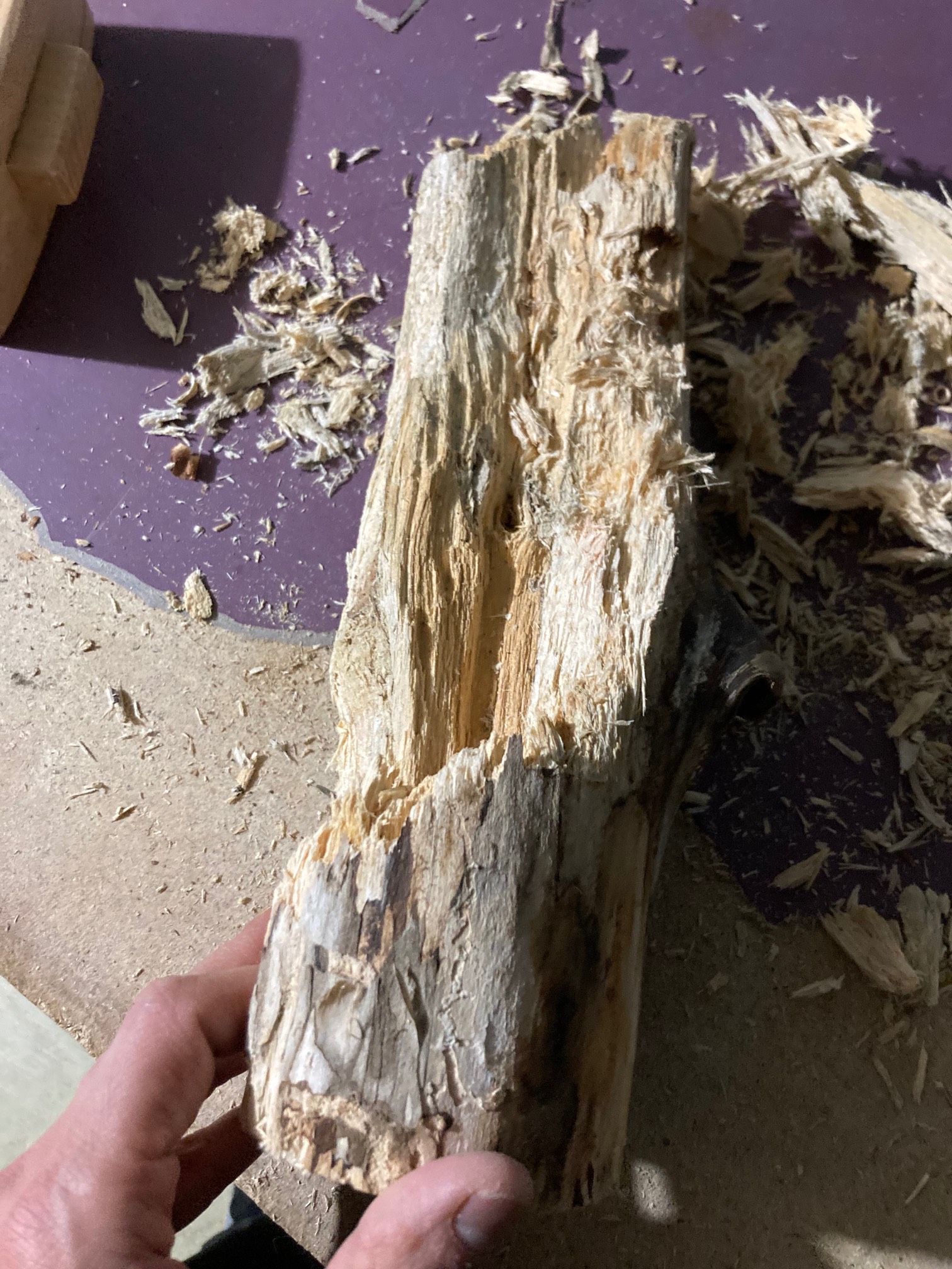 I think I got most of the soft bits out of this wood/tree part.
