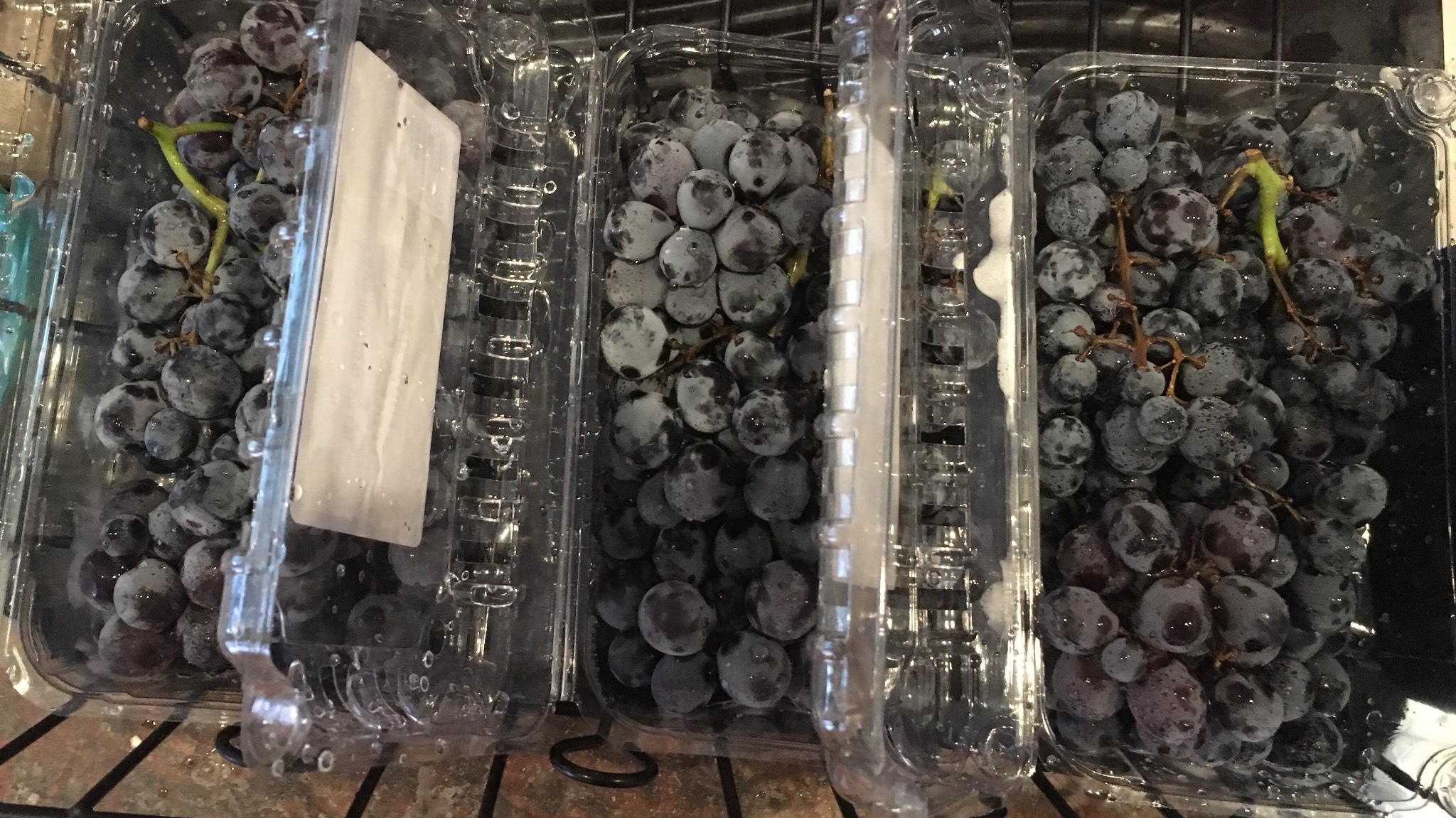 Ah, Thomcord grapes! The power of Concord grapes with (I assume) the seedlessness of Thompson grapes