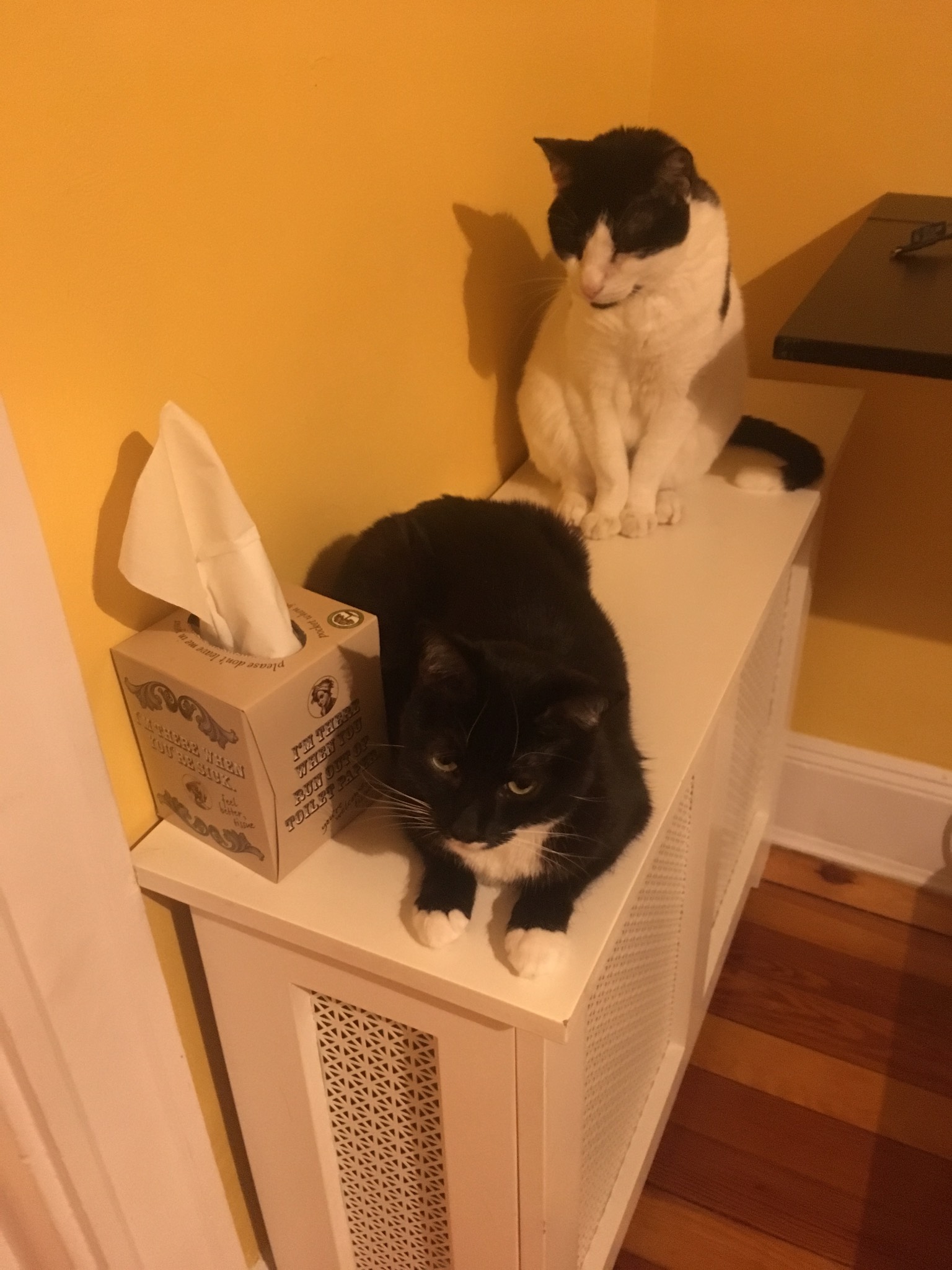 Radiator Club