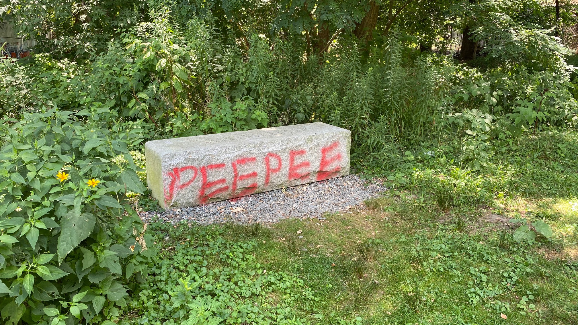 Peepee