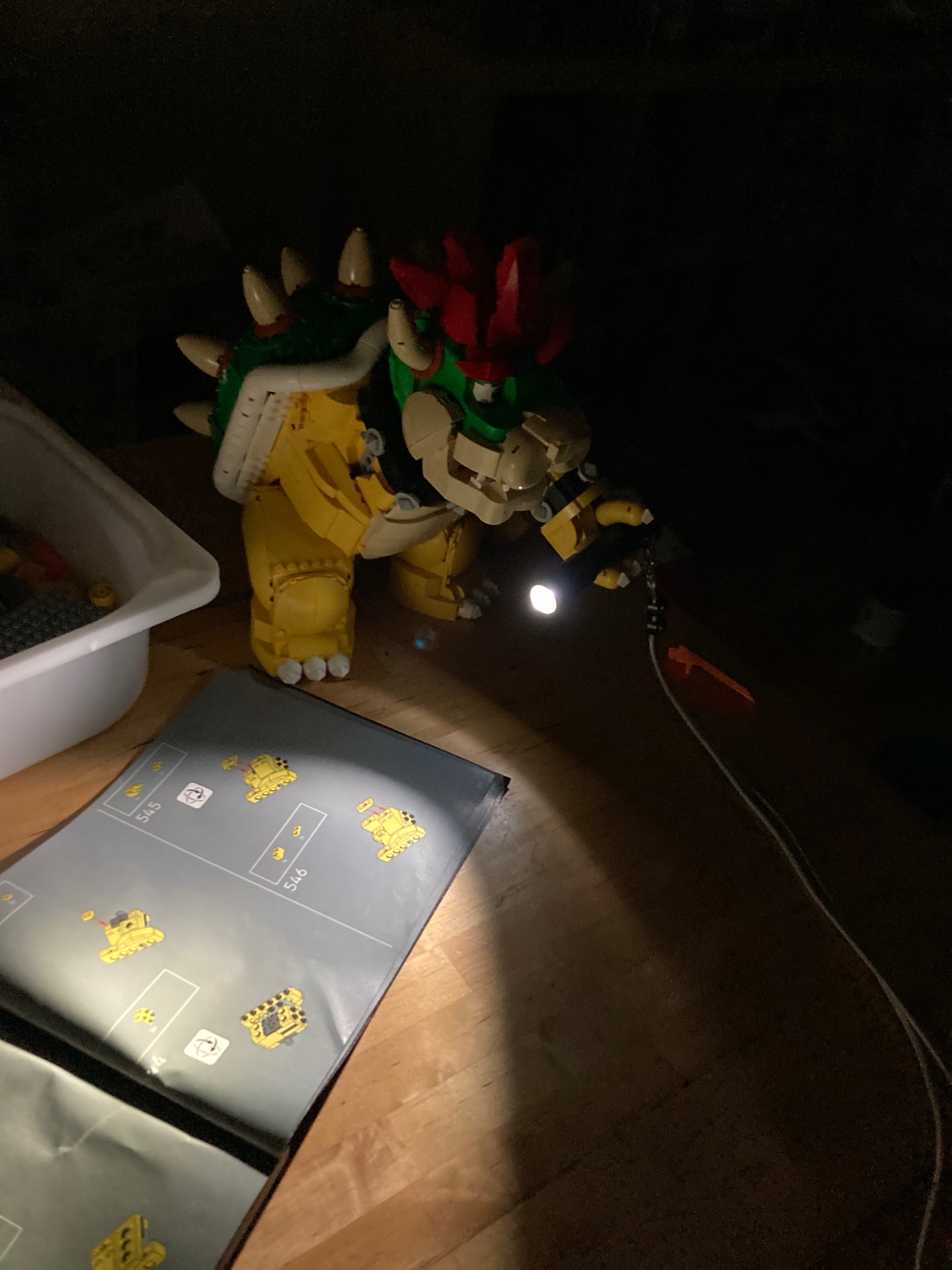 We had another ten-minute power outage, during which Bowser was able to hold the flashlight so that 